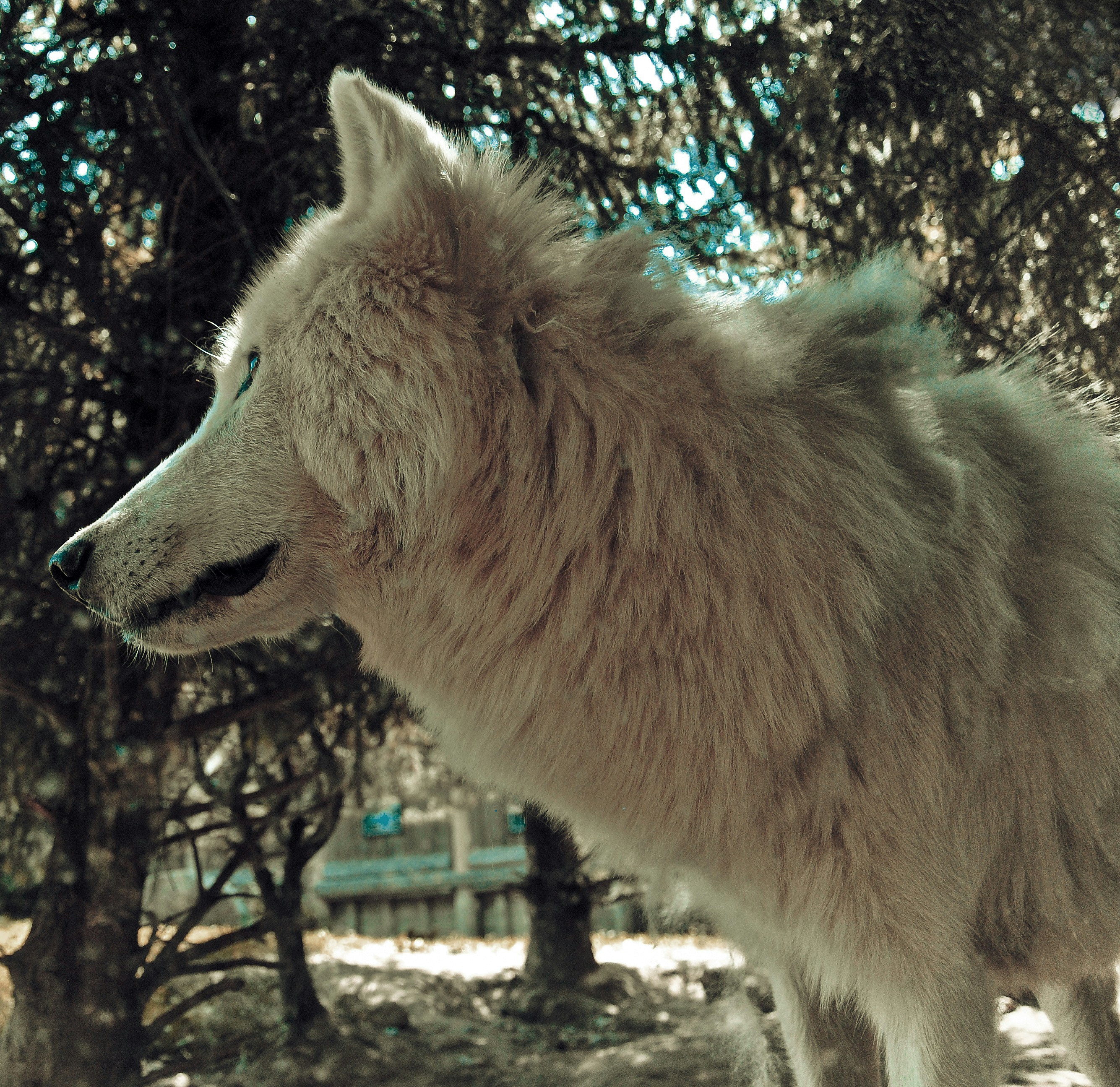 Free Unsplash photo from Sandra Kapella