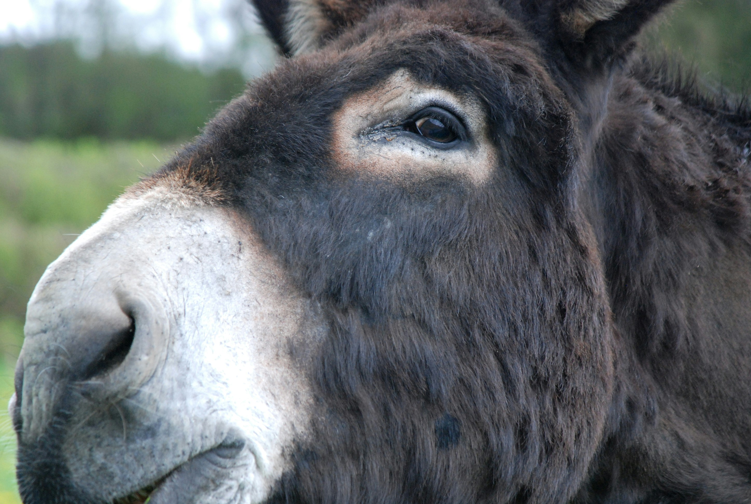 Free Unsplash photo from Jet Cinquantotto