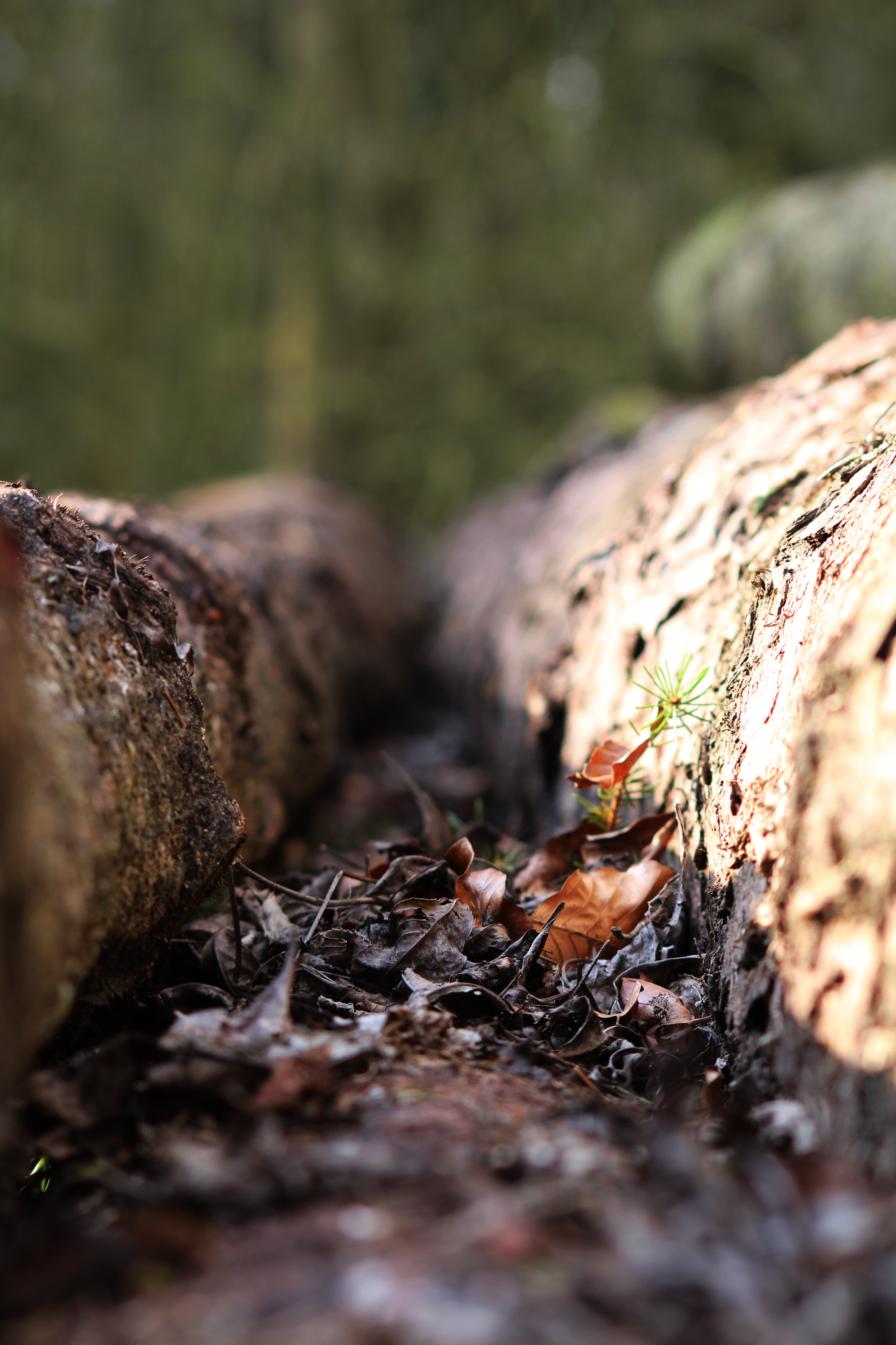 Free Unsplash photo from Rhys Harris