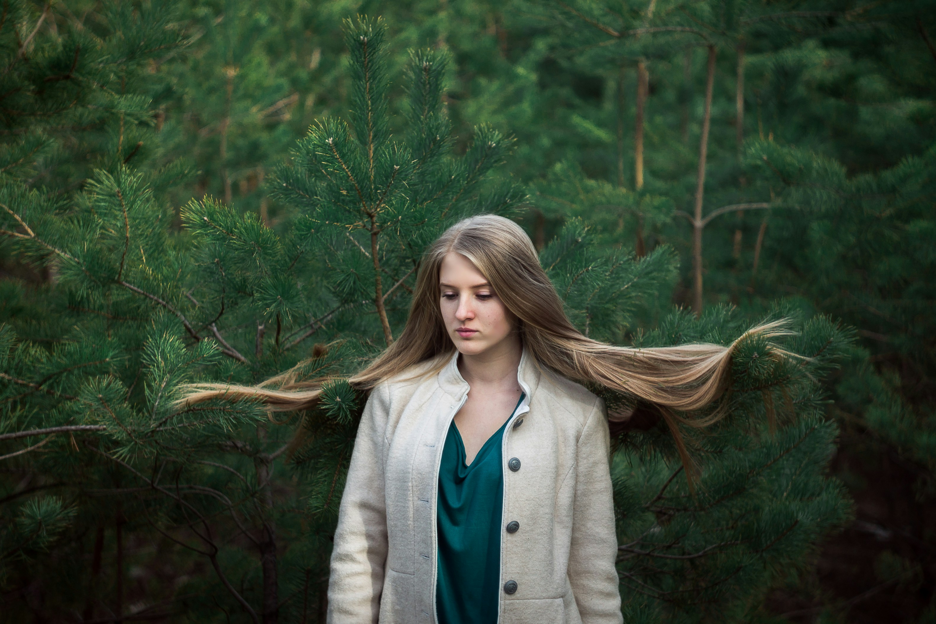 Free Unsplash photo from Anastasia AV