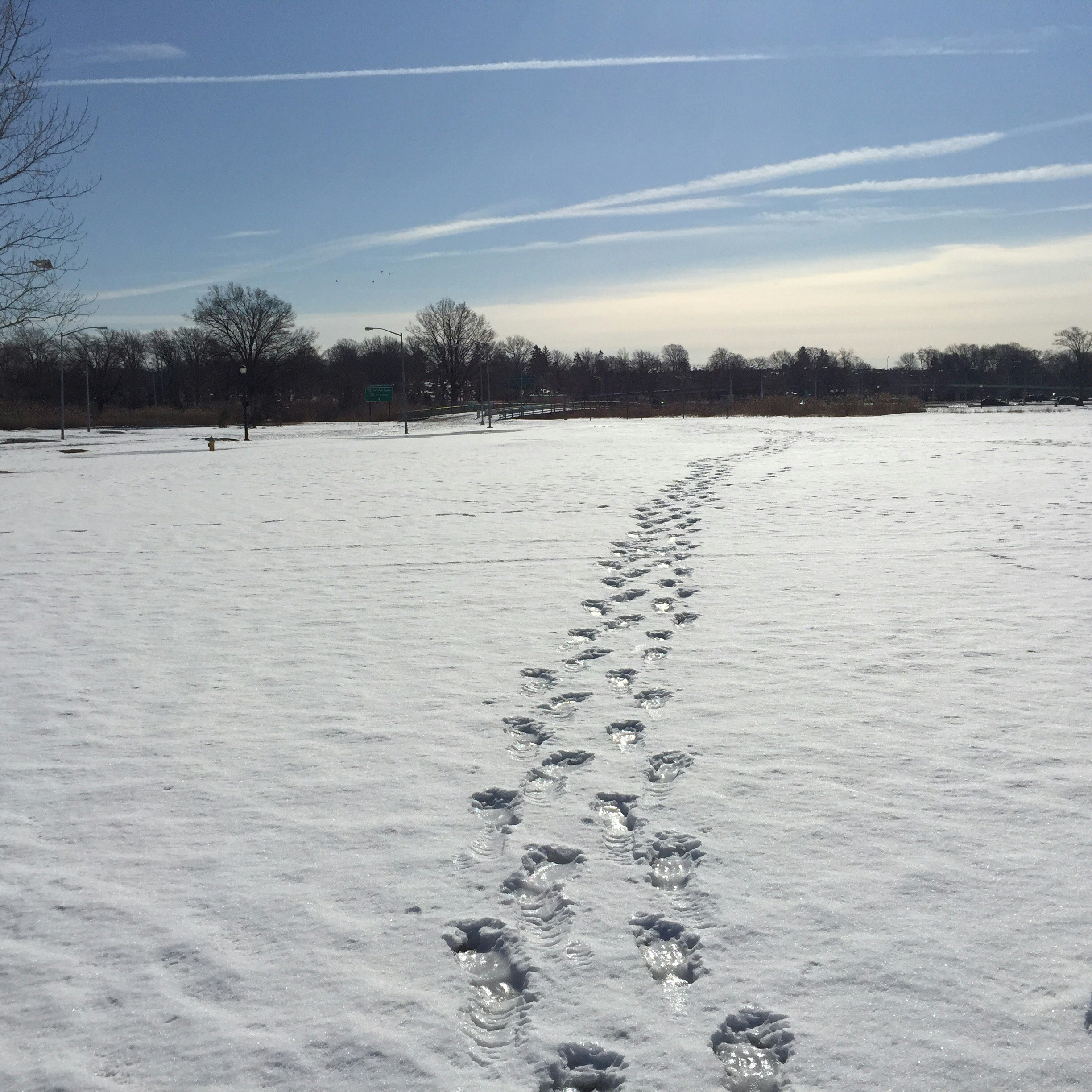 Free Unsplash photo from Humberto  Dominguez