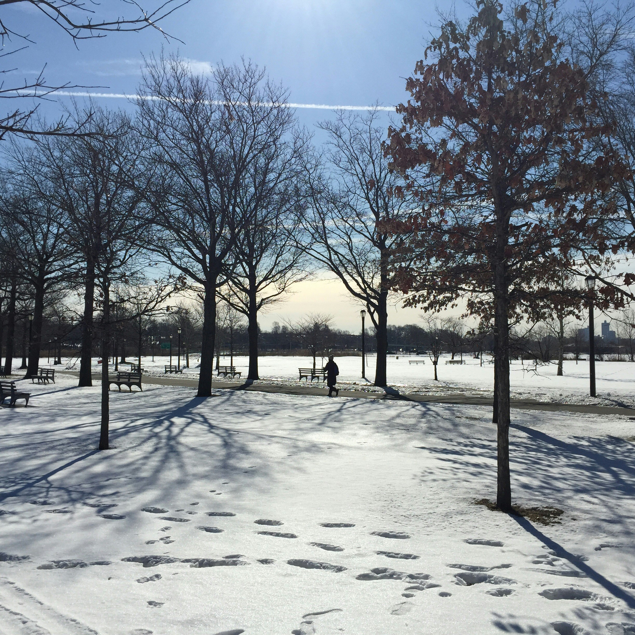 Free Unsplash photo from Humberto  Dominguez