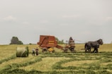 woman standing near brown combine harvester