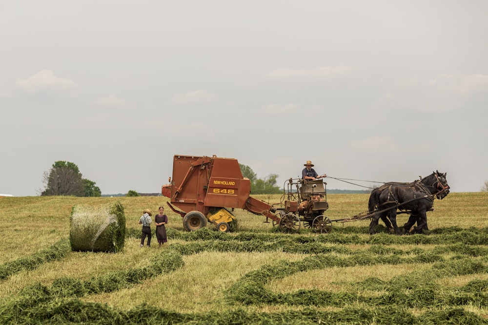 woman standing near brown combine harvester