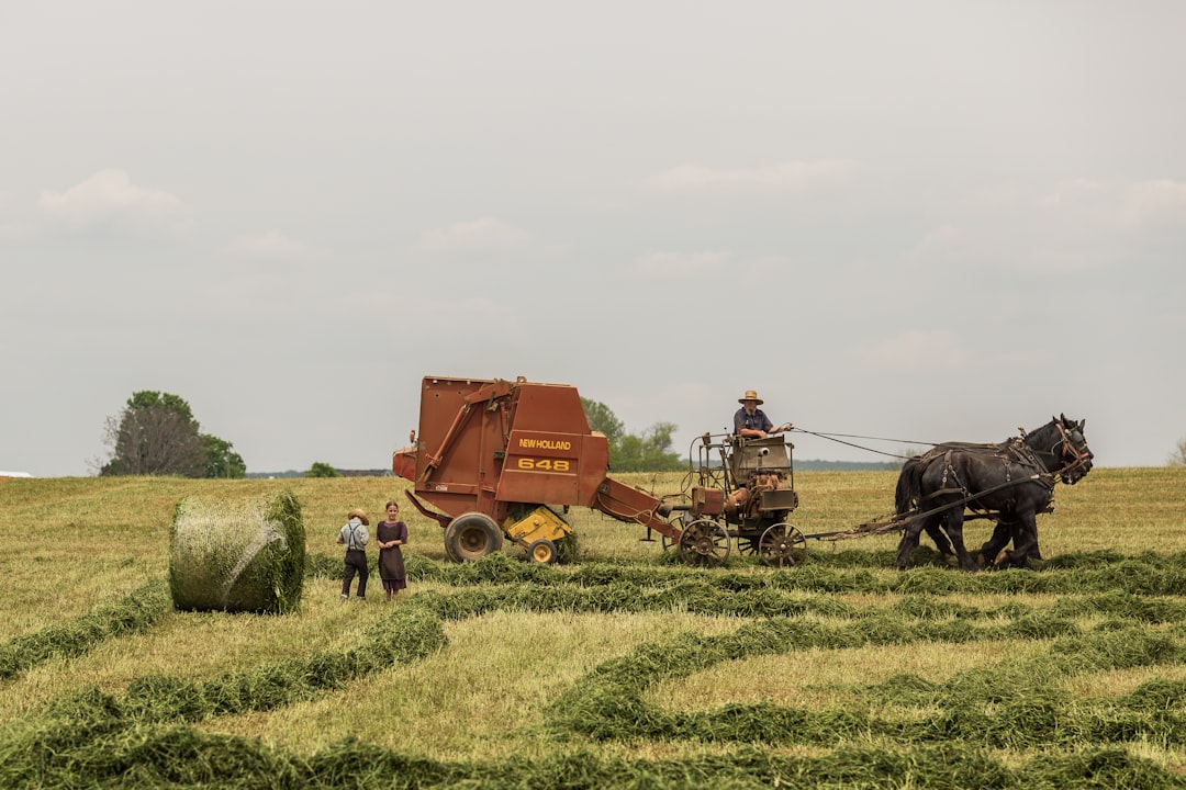 woman standing near brown combine harvester, Hang this photos on the wall.<p></figure>Buy prints https://society6.com/madbyte/prints