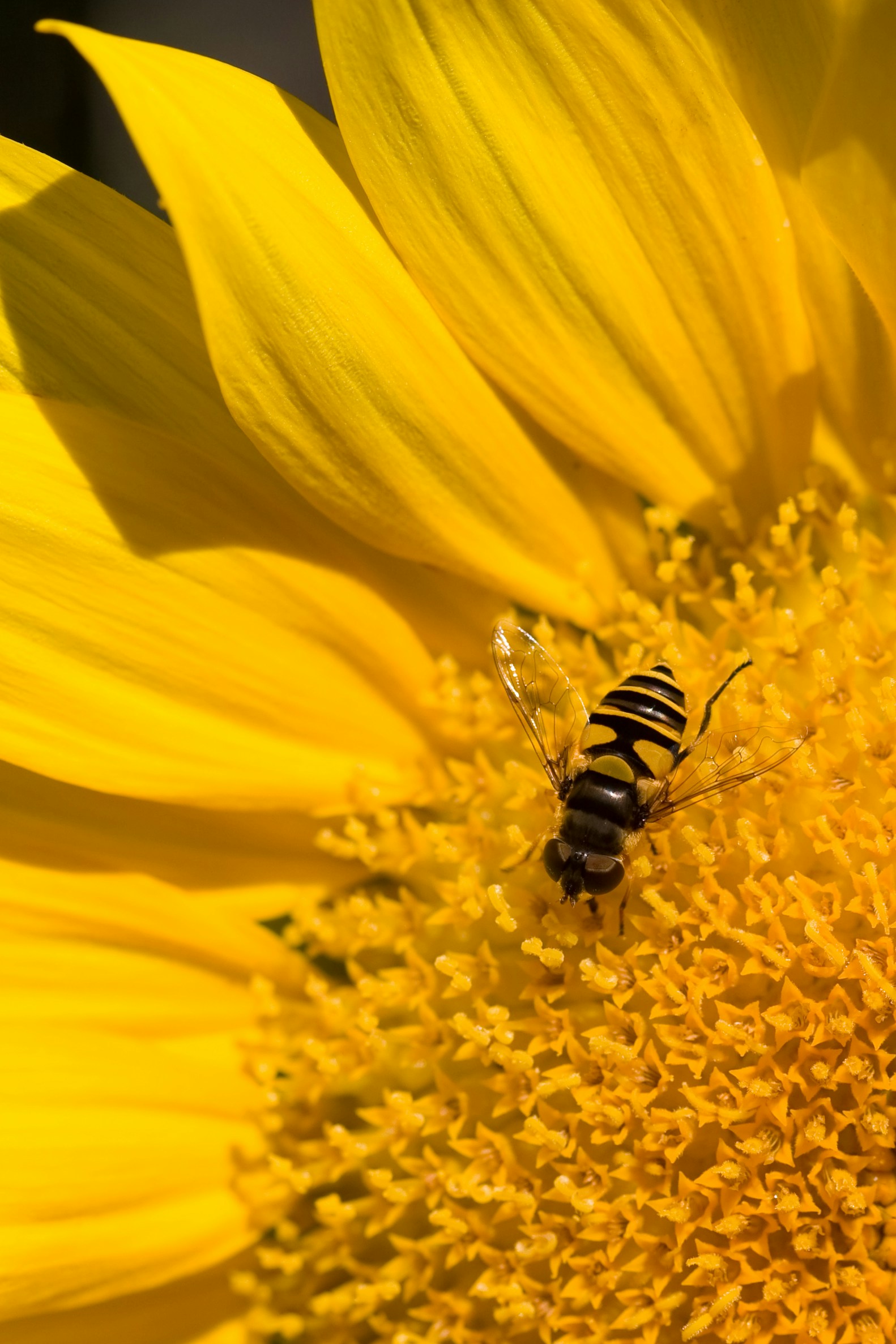 Sean McAuliffe (@smcauliffe) | Unsplash Photo Community