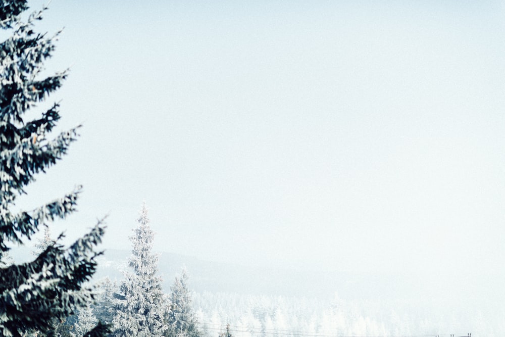 a person on a snowboard in the snow