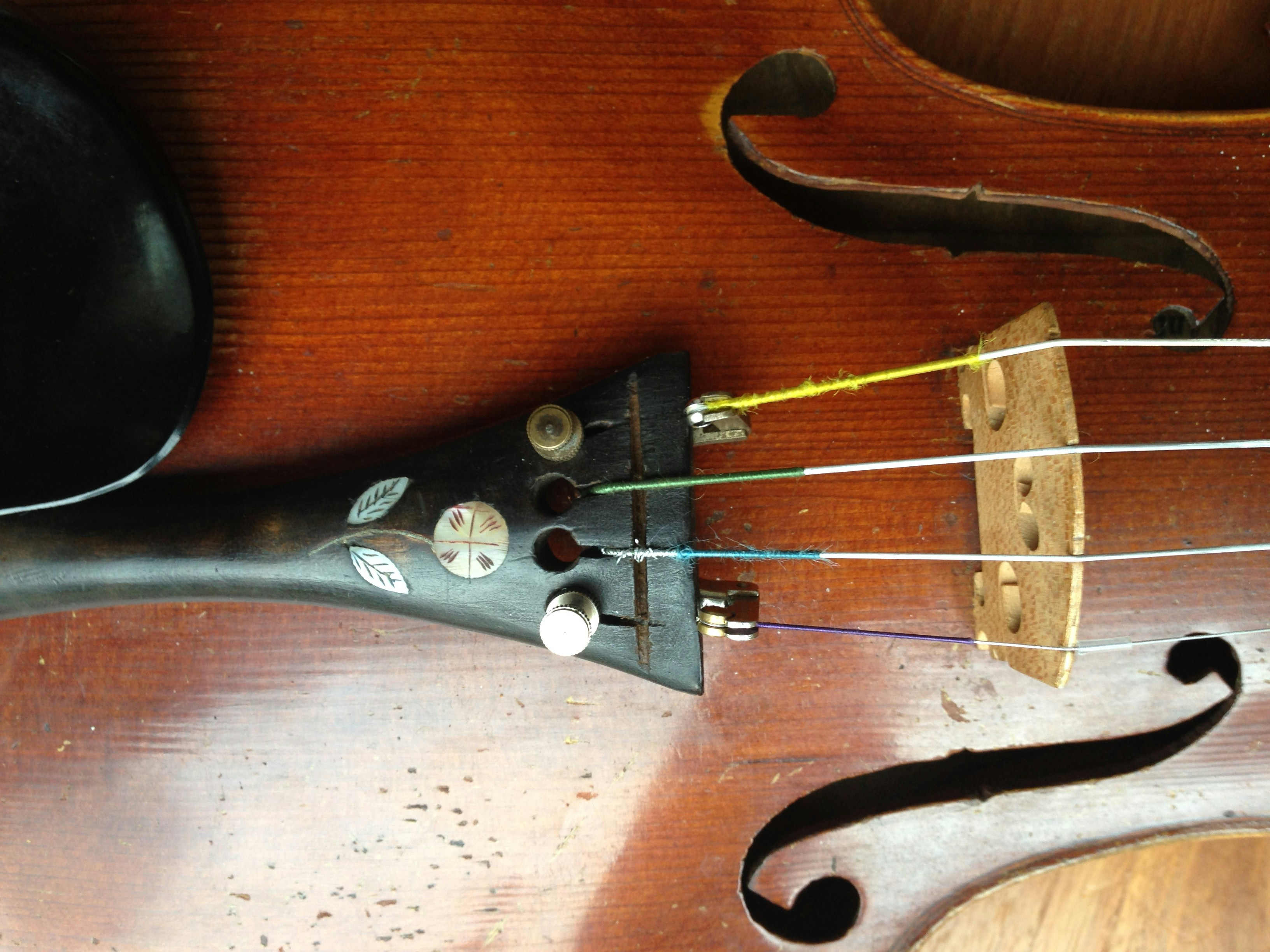 Free Unsplash photo from Lucy Nysen