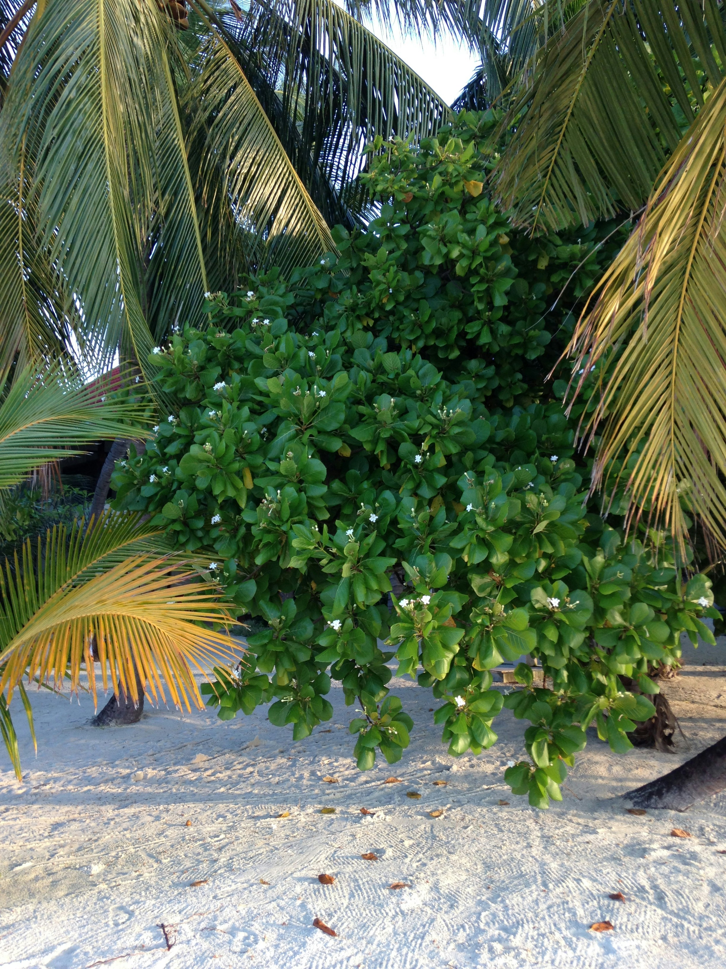 Free Unsplash photo from Lucy Nysen