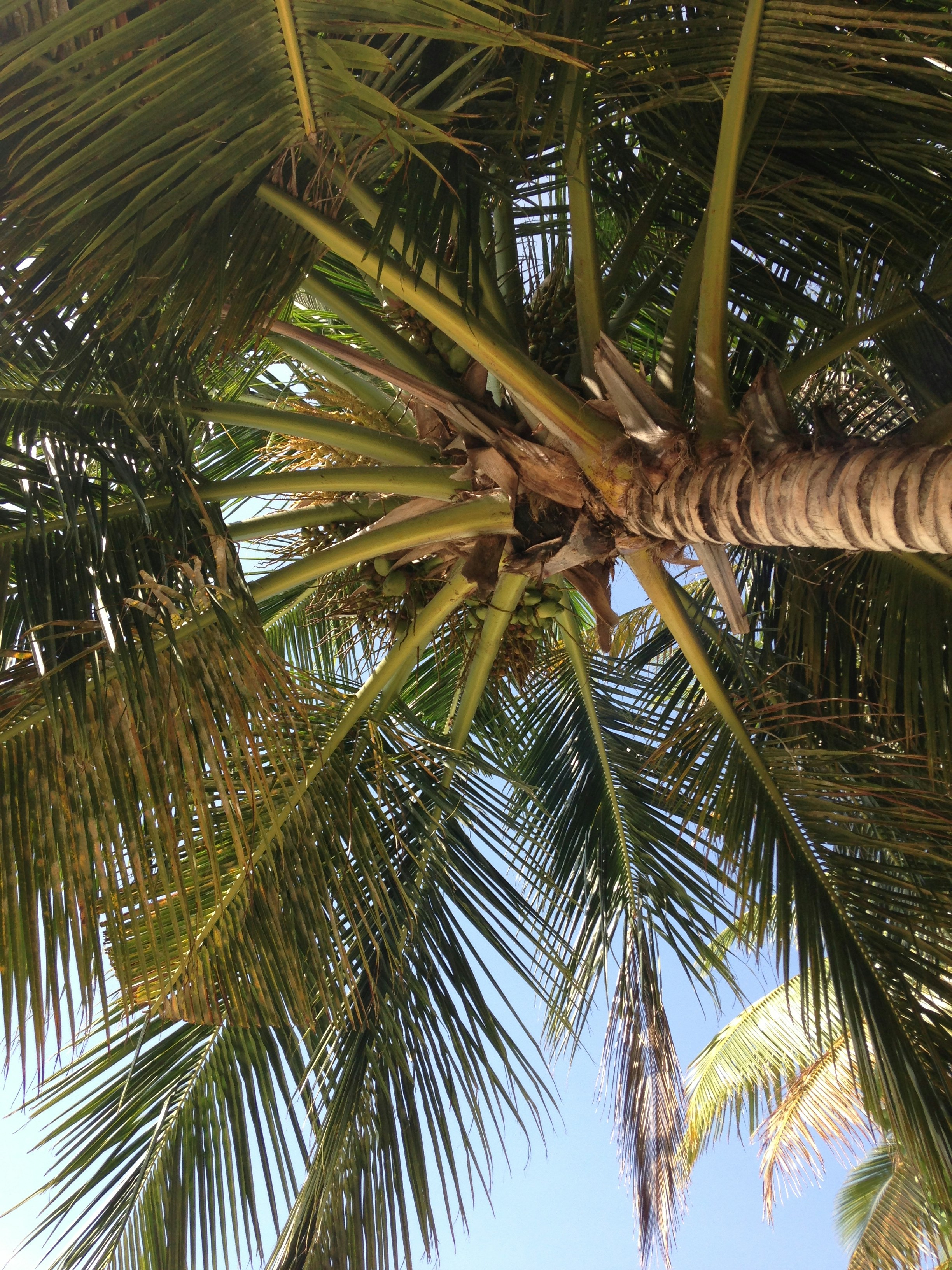 Free Unsplash photo from Lucy Nysen