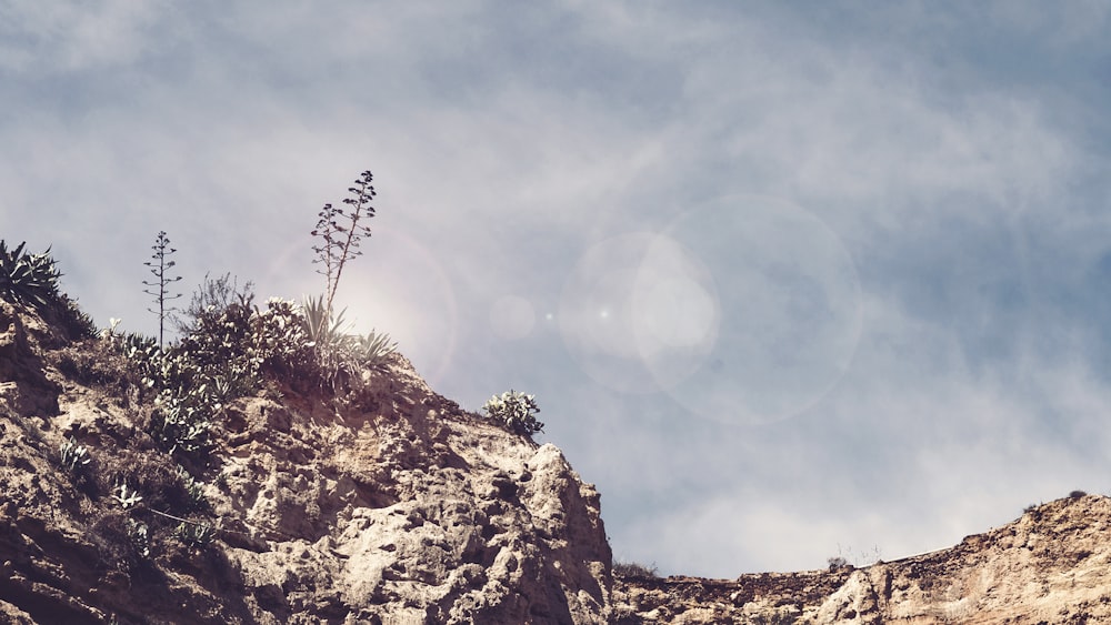 low angle photography of mountain at daytime