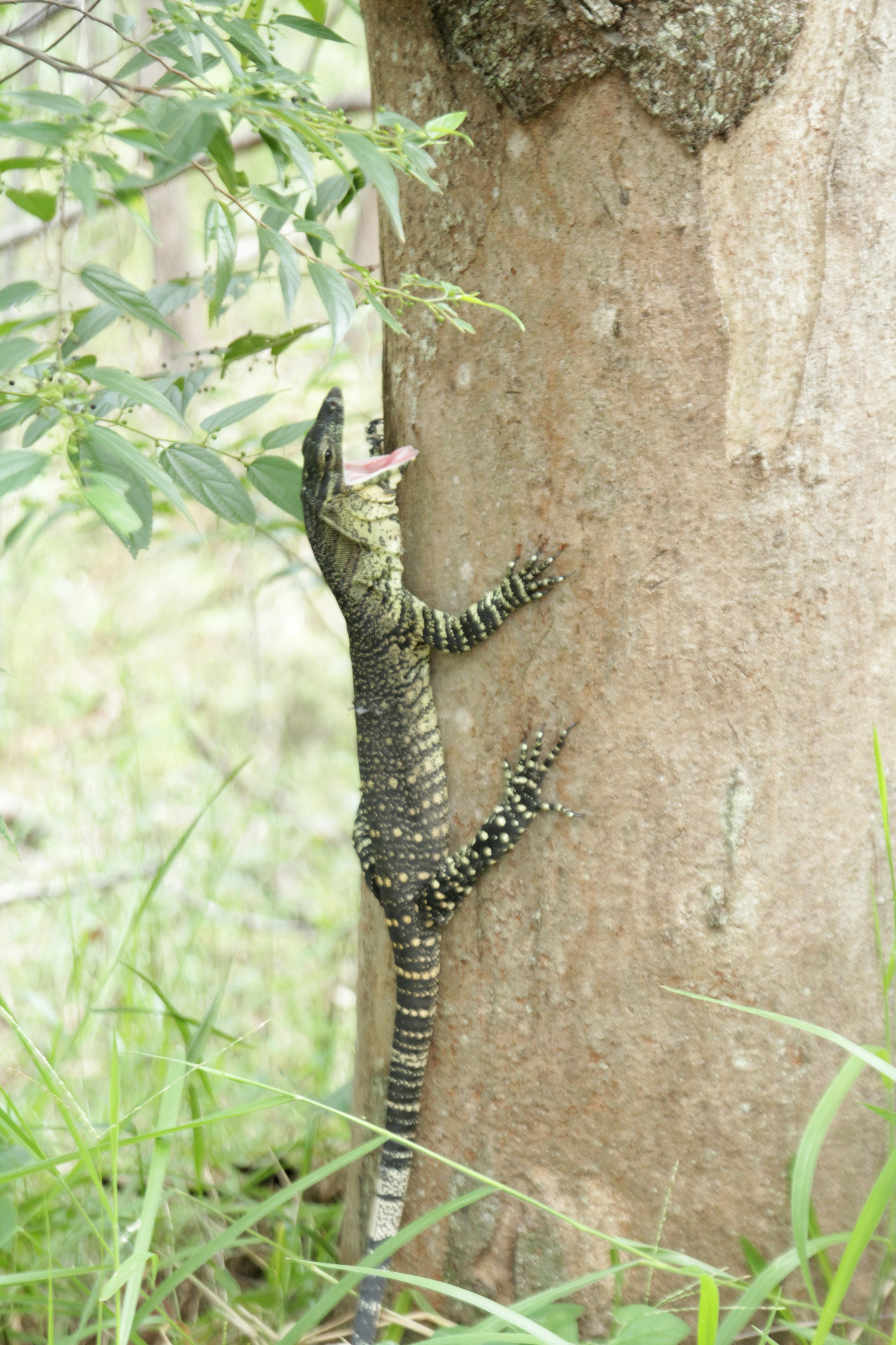 Free Unsplash photo from Avedis Ghazarian