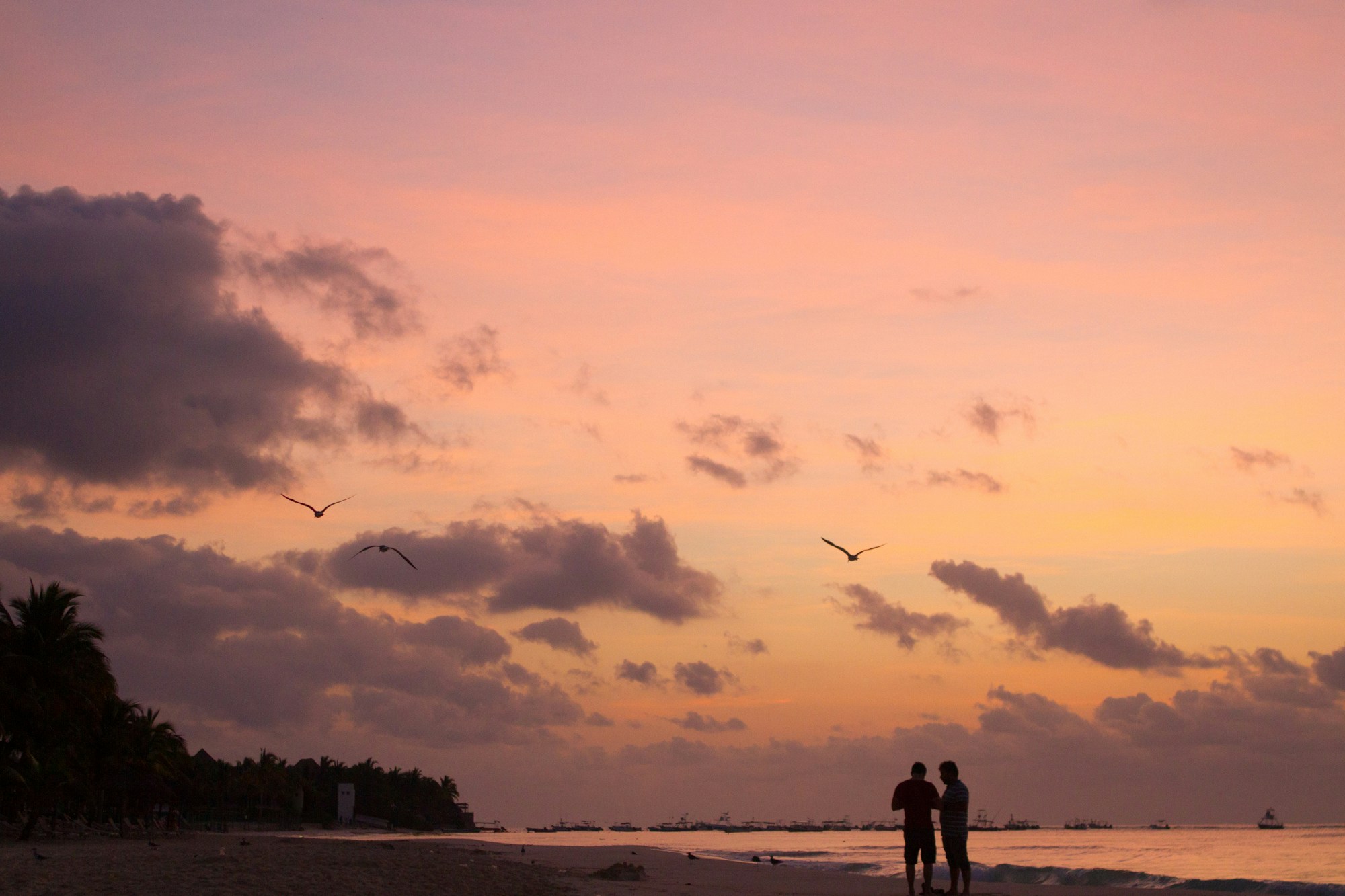 Free Unsplash photo from Michelle Weber