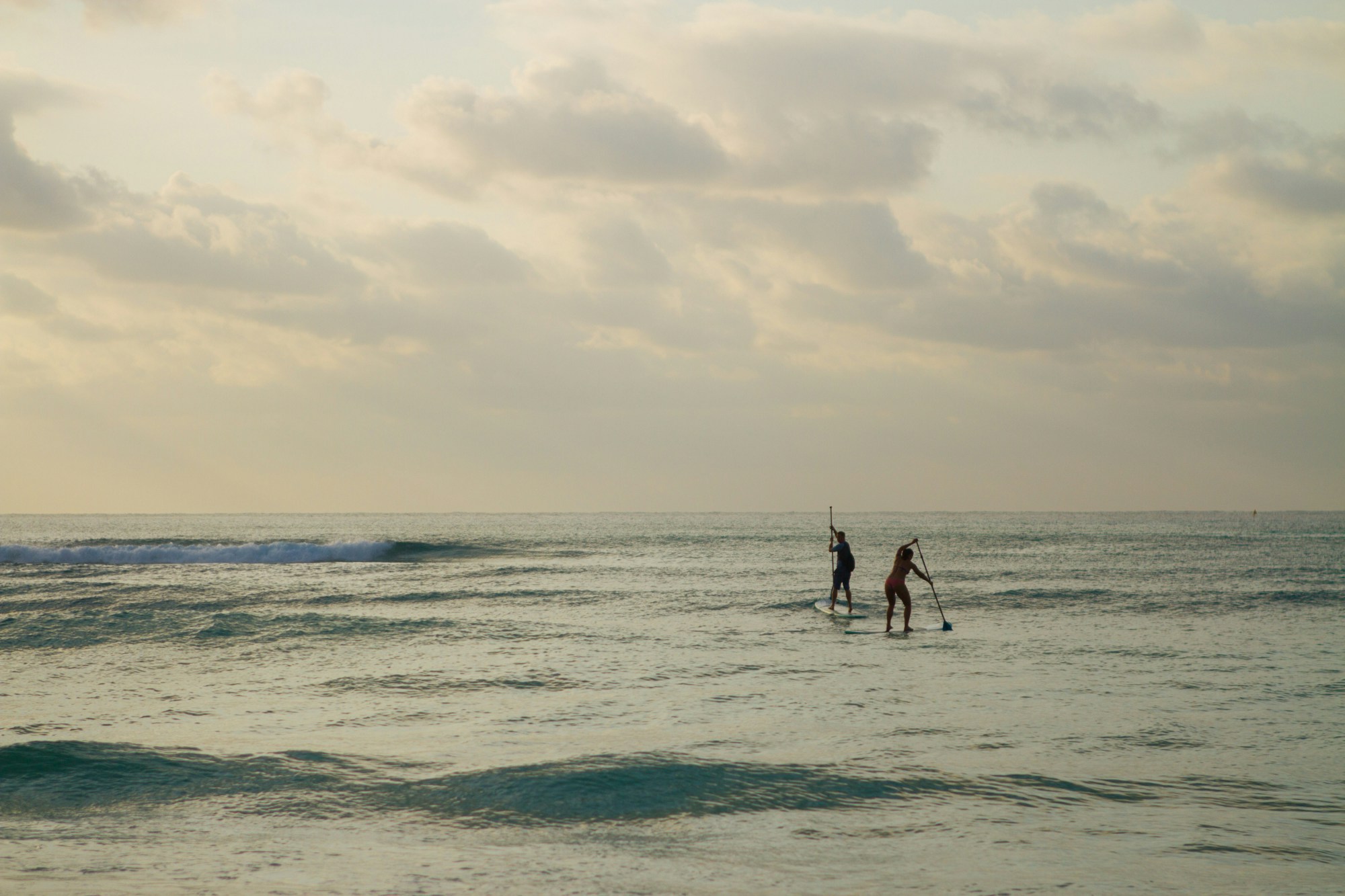 Free Unsplash photo from Michelle Weber