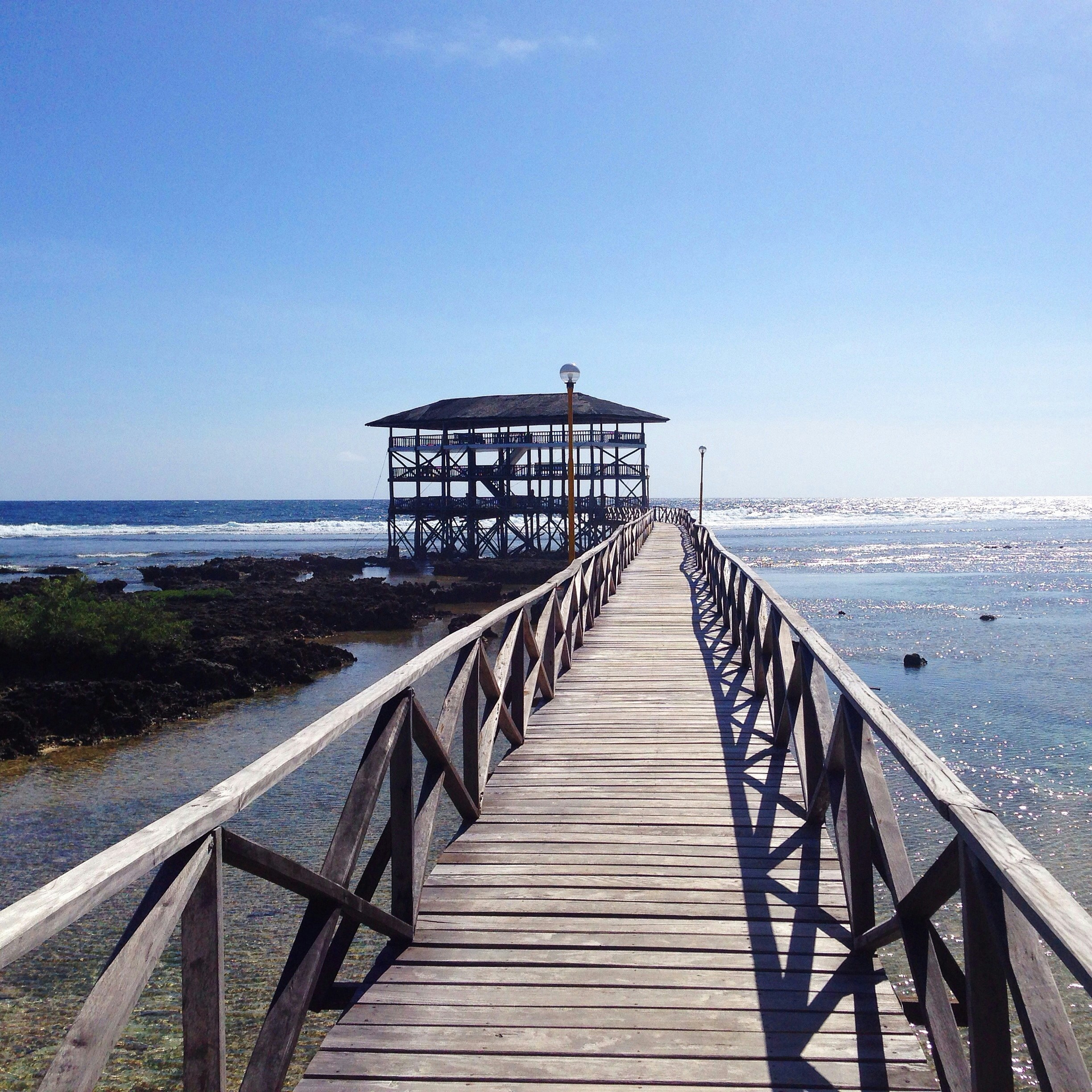 Free Unsplash photo from Tina Zamora