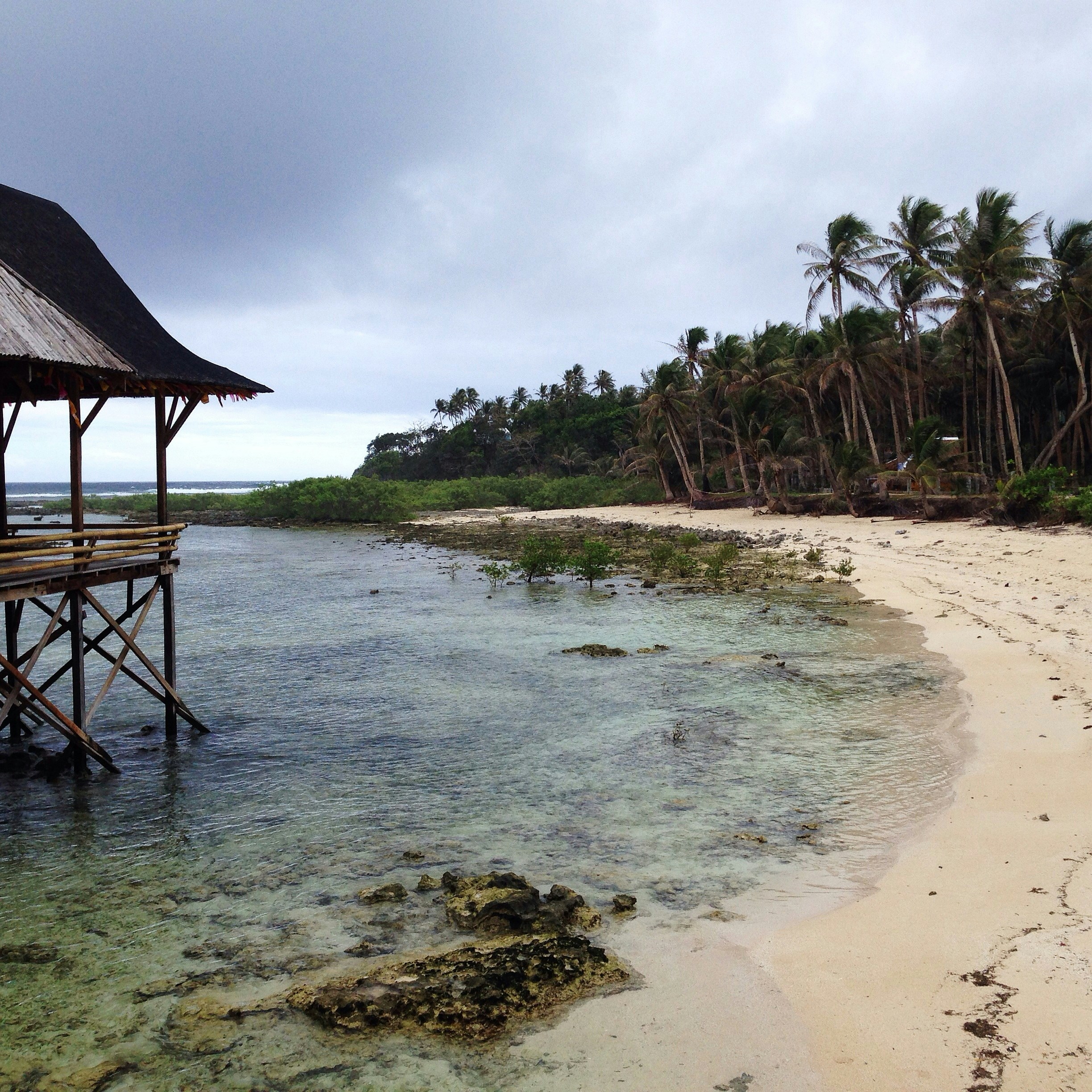 Free Unsplash photo from Tina Zamora