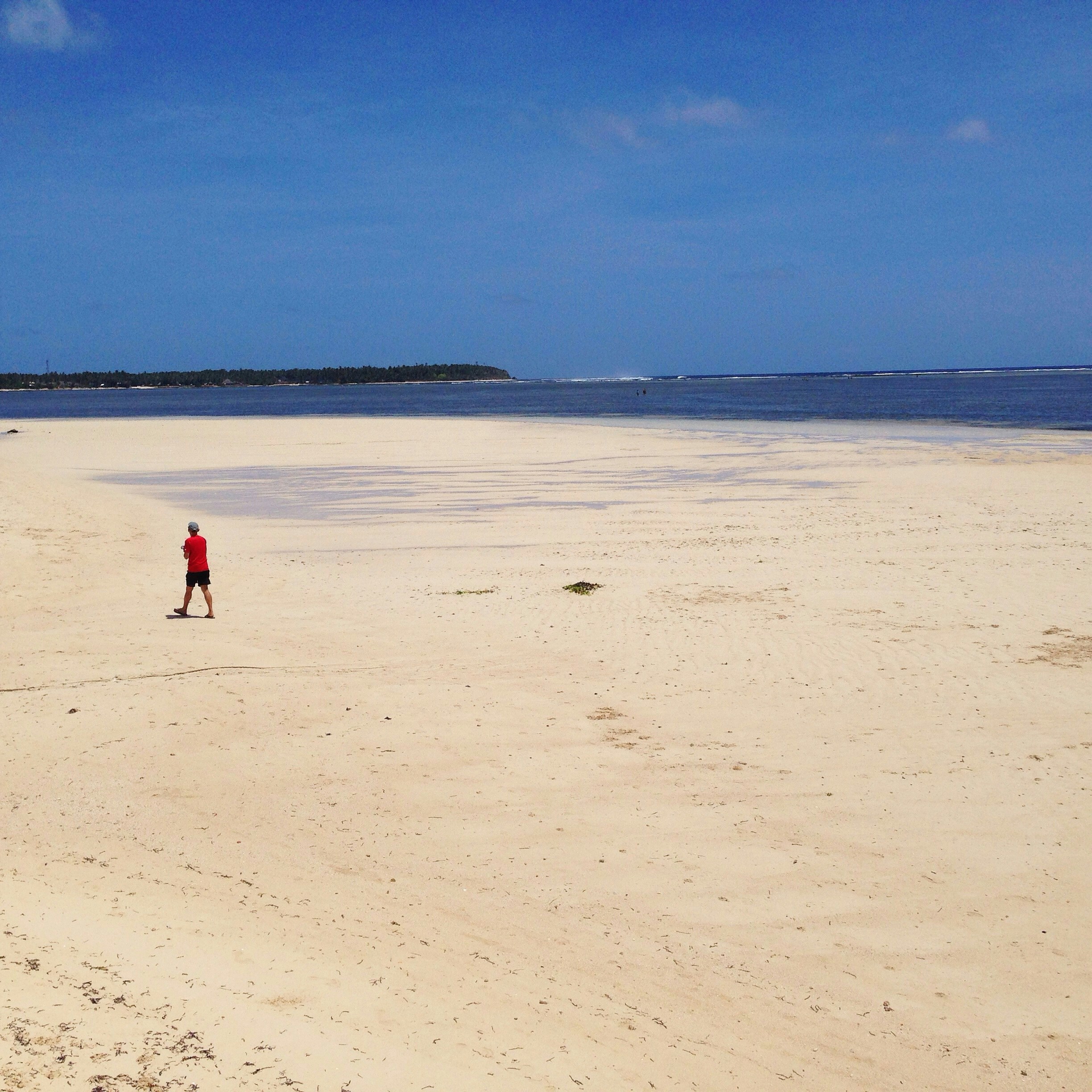 Free Unsplash photo from Tina Zamora