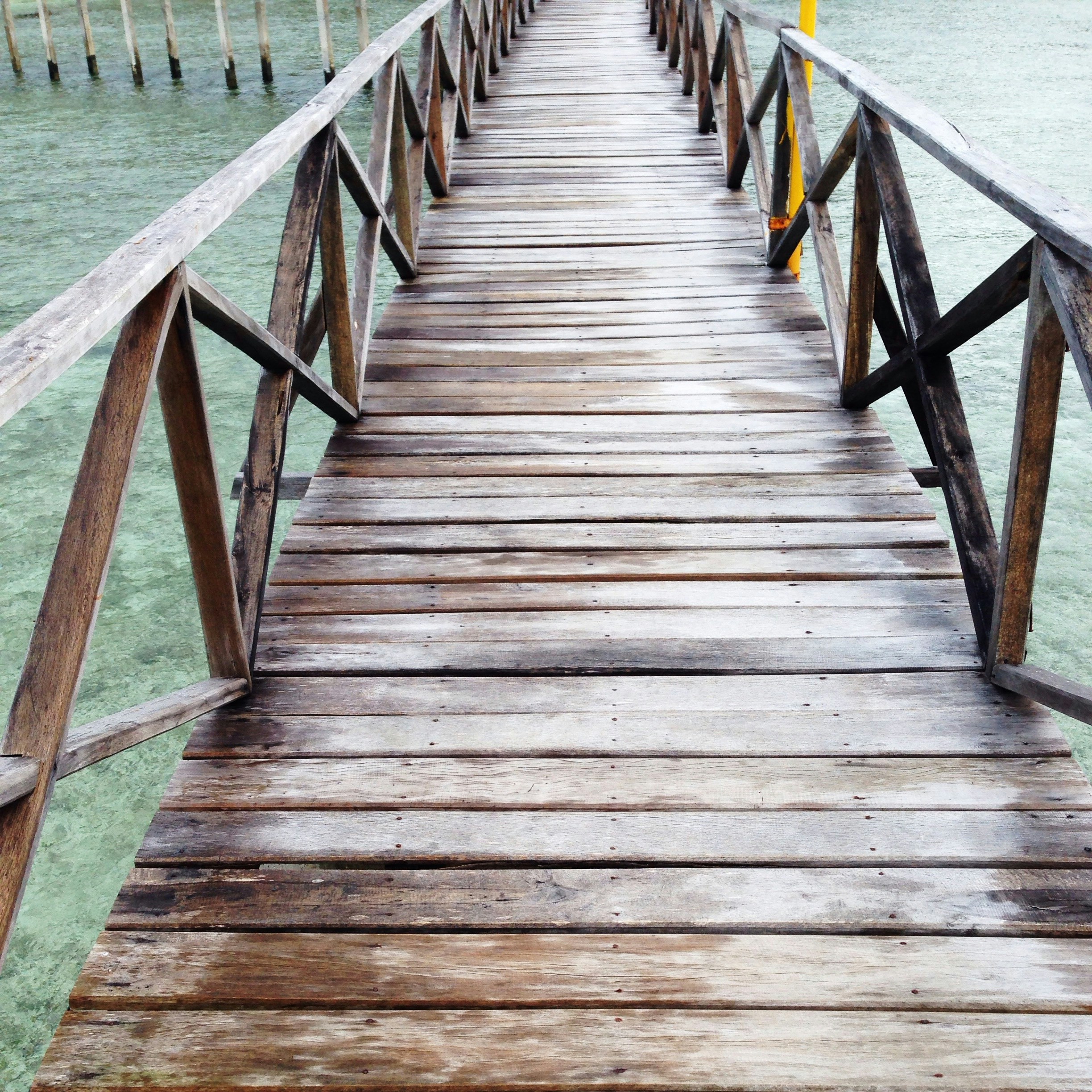 Free Unsplash photo from Tina Zamora