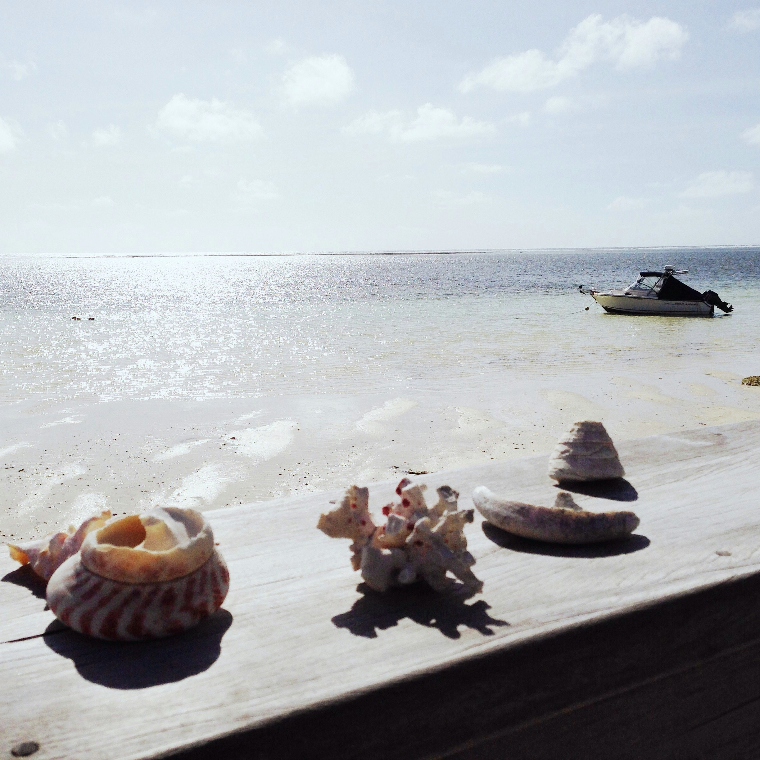 Free Unsplash photo from Tina Zamora