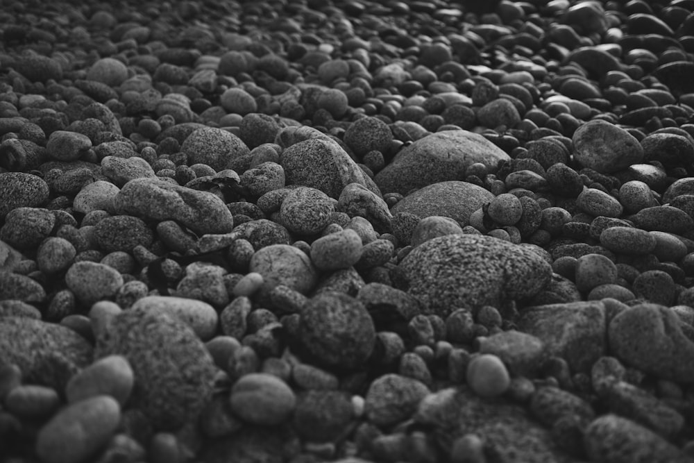 Fotografía de lote de fragmentos de piedra gris