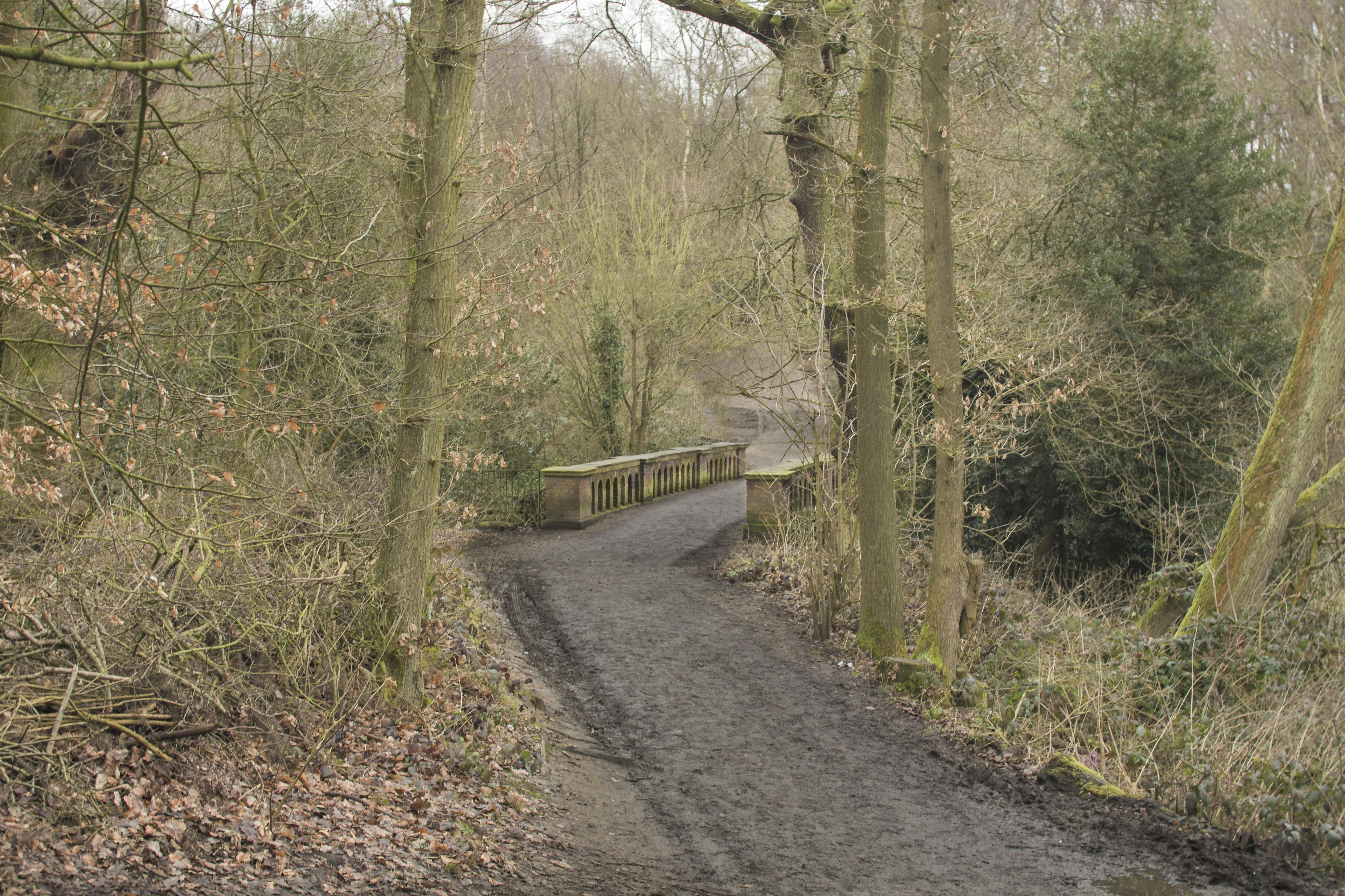 Free Unsplash photo from Serge George