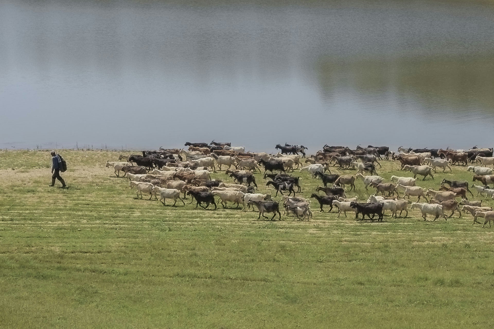 Free Unsplash photo from Serge George