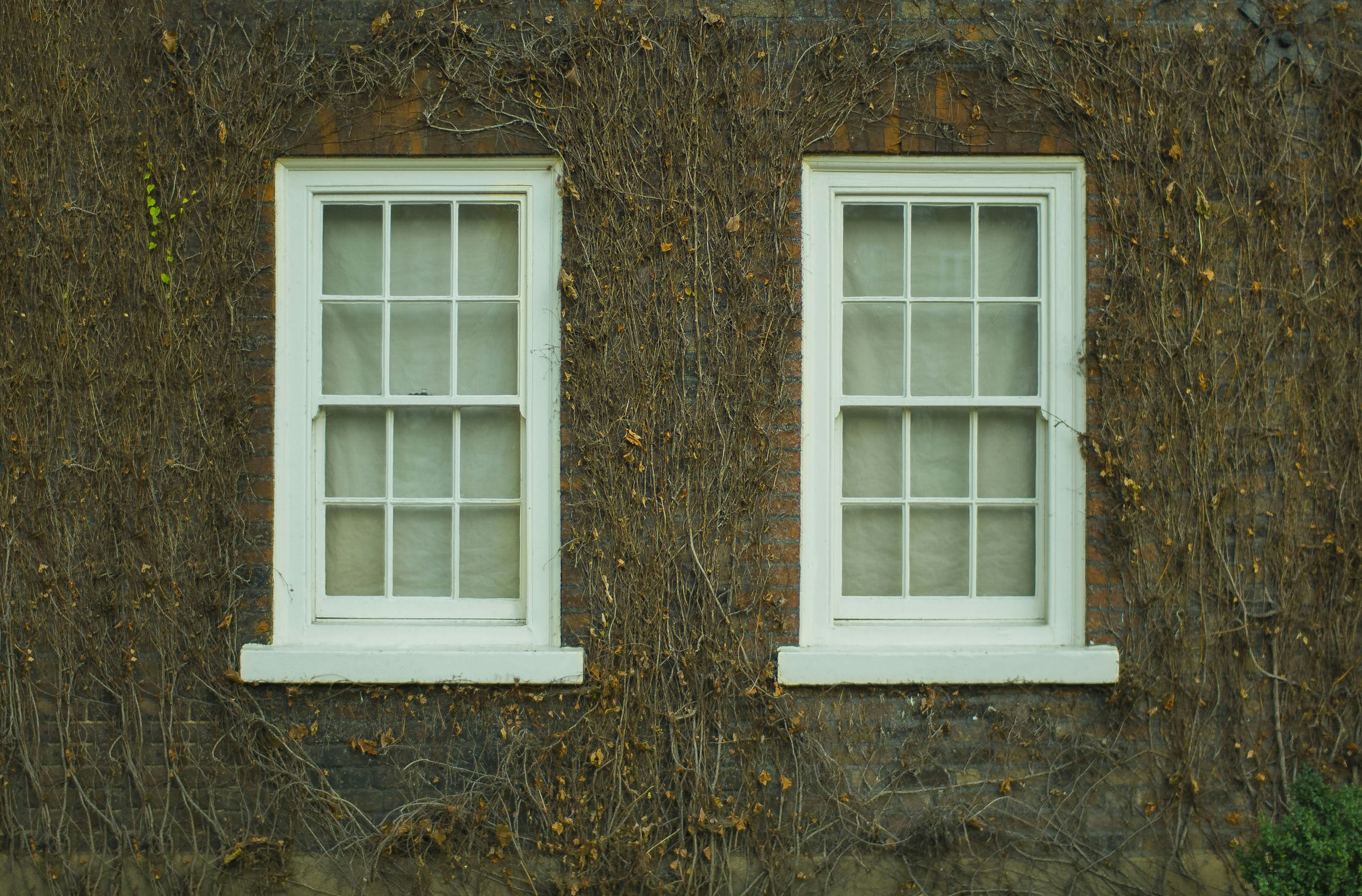 Free Unsplash photo from Serge George