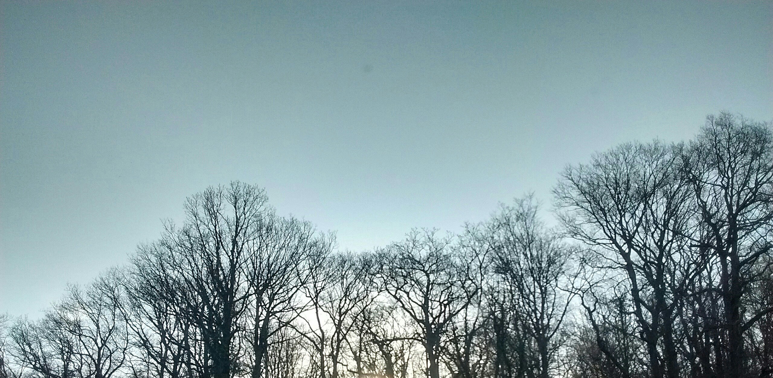 Free Unsplash photo from Marc Rentschler