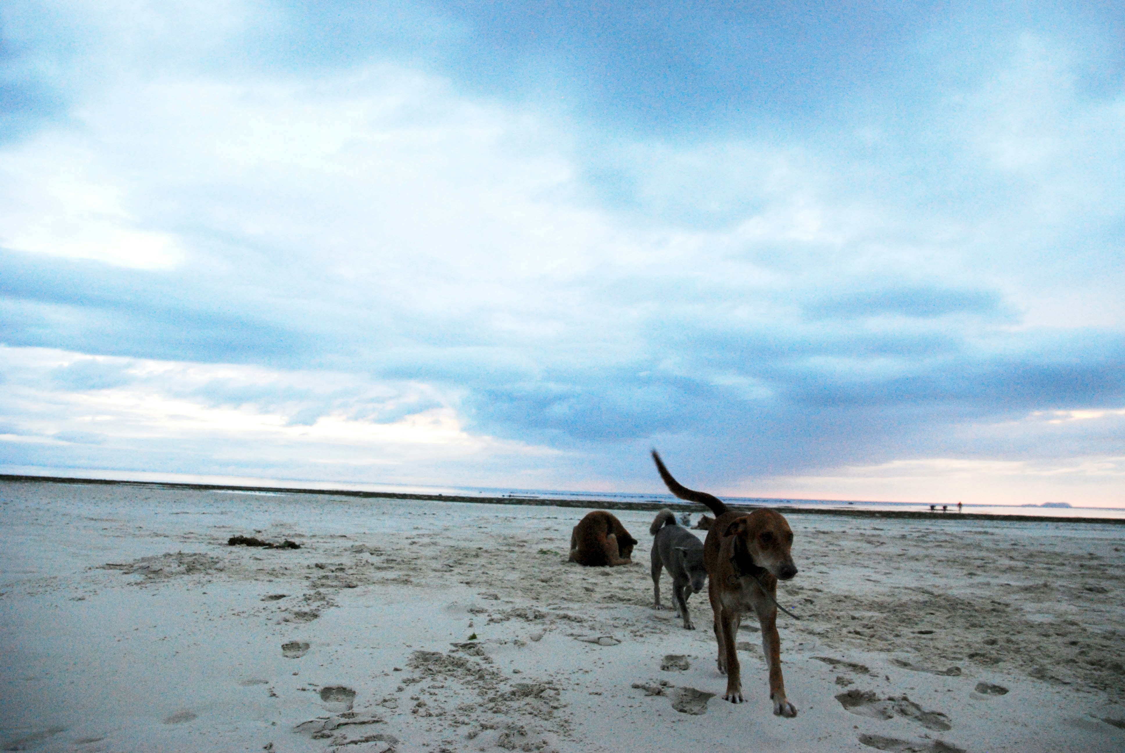 Free Unsplash photo from racheli werzberger