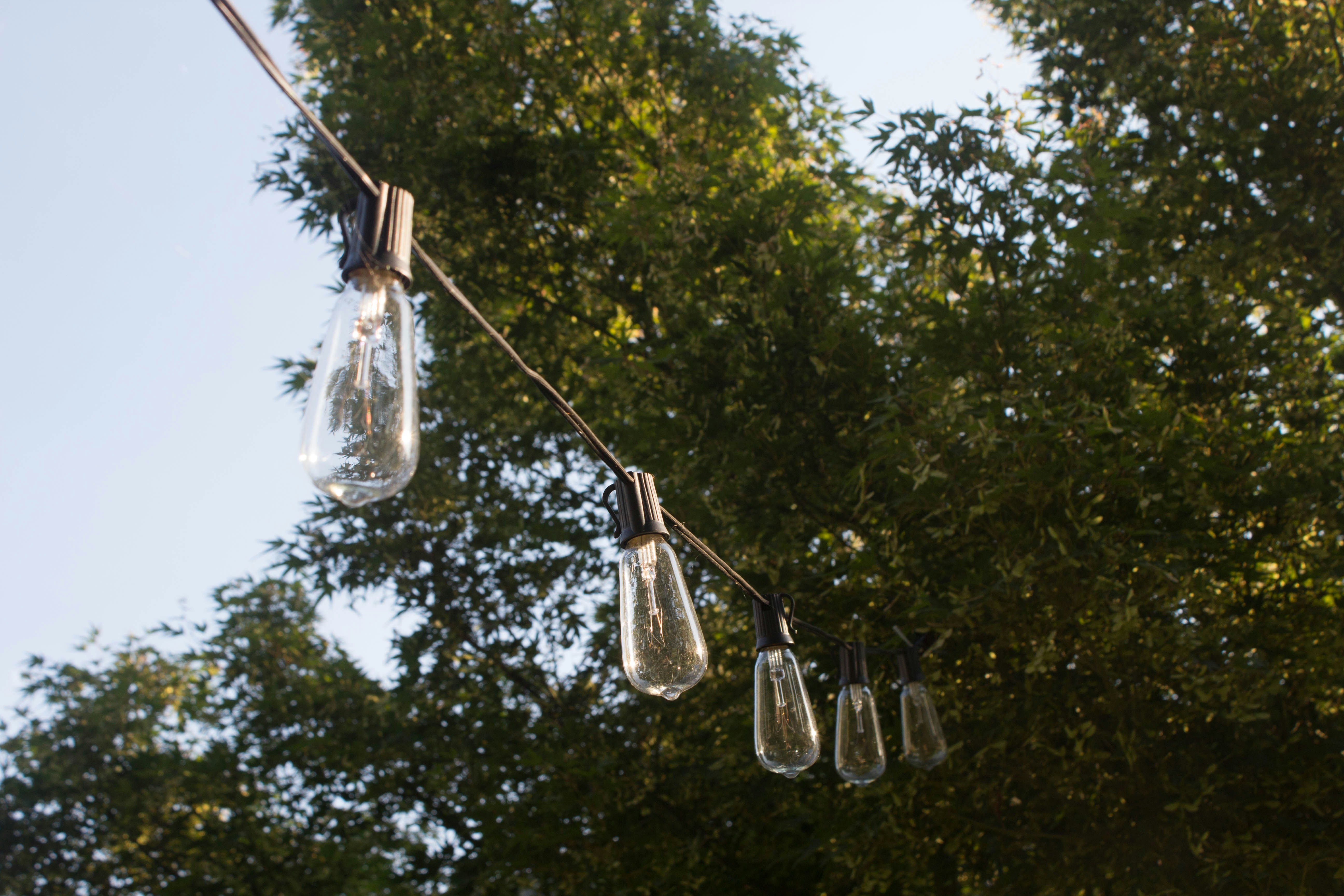 Free Unsplash photo from Darlene Veenhuizen