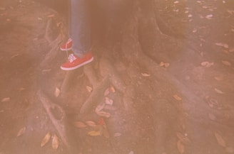 A pair of minimalist barefoot shoes resting on a wooden bench surrounded by fallen leaves.