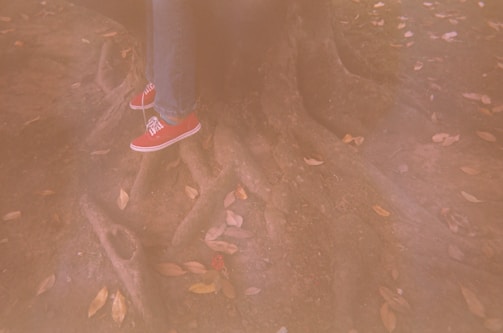 A pair of minimalist barefoot shoes resting on a wooden bench surrounded by fallen leaves.