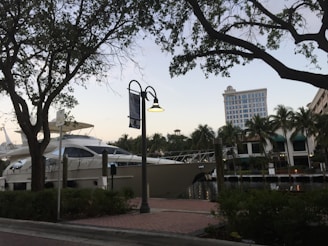 A large yacht is docked at a marina, surrounded by lush palm trees and buildings in the background. The scene is framed by silhouetted branches of nearby trees against a sky transitioning to dusk. A street lamp is mounted on a post along a brick-paved walkway that runs parallel to the water.