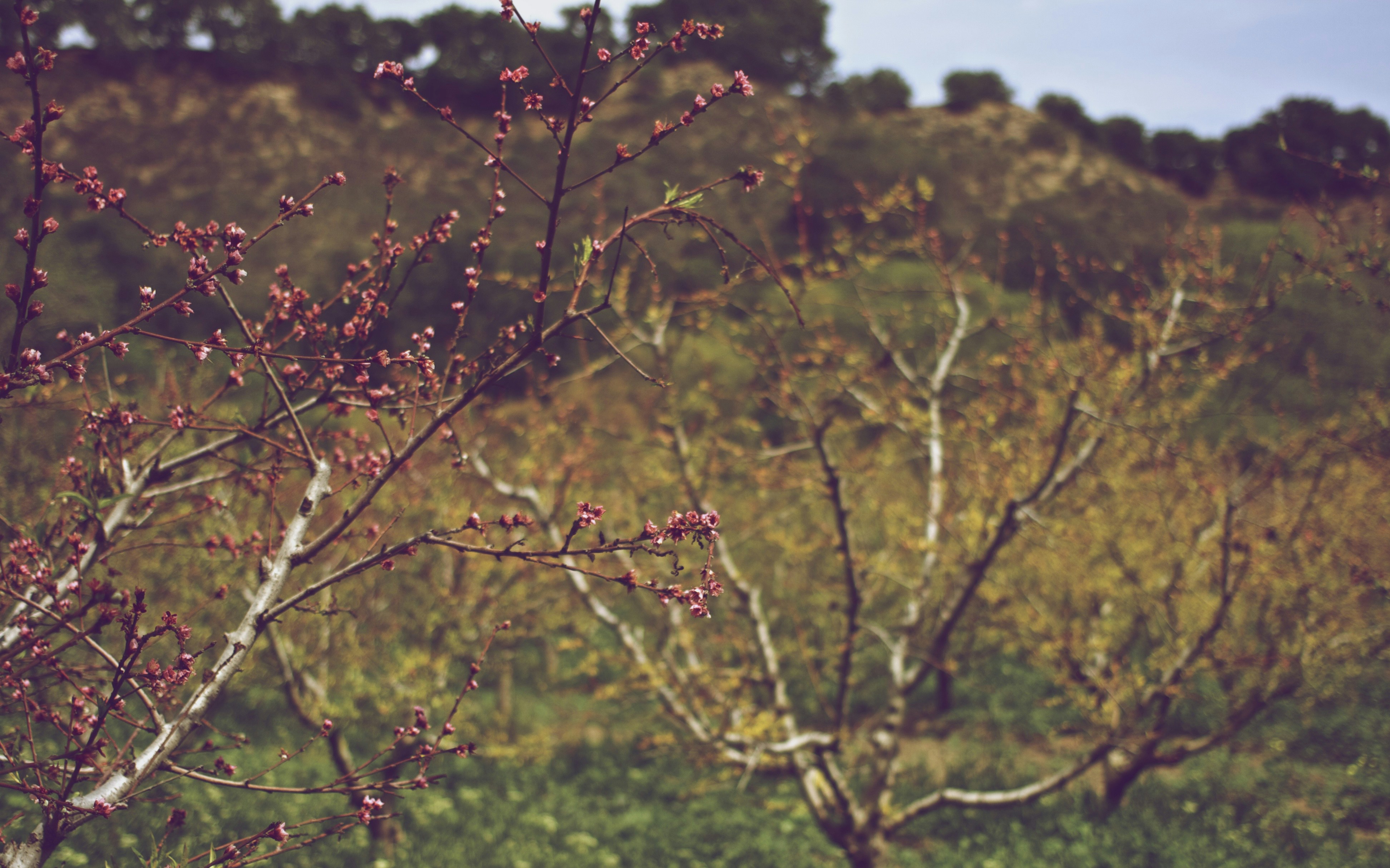 Free Unsplash photo from Matthew Andersen