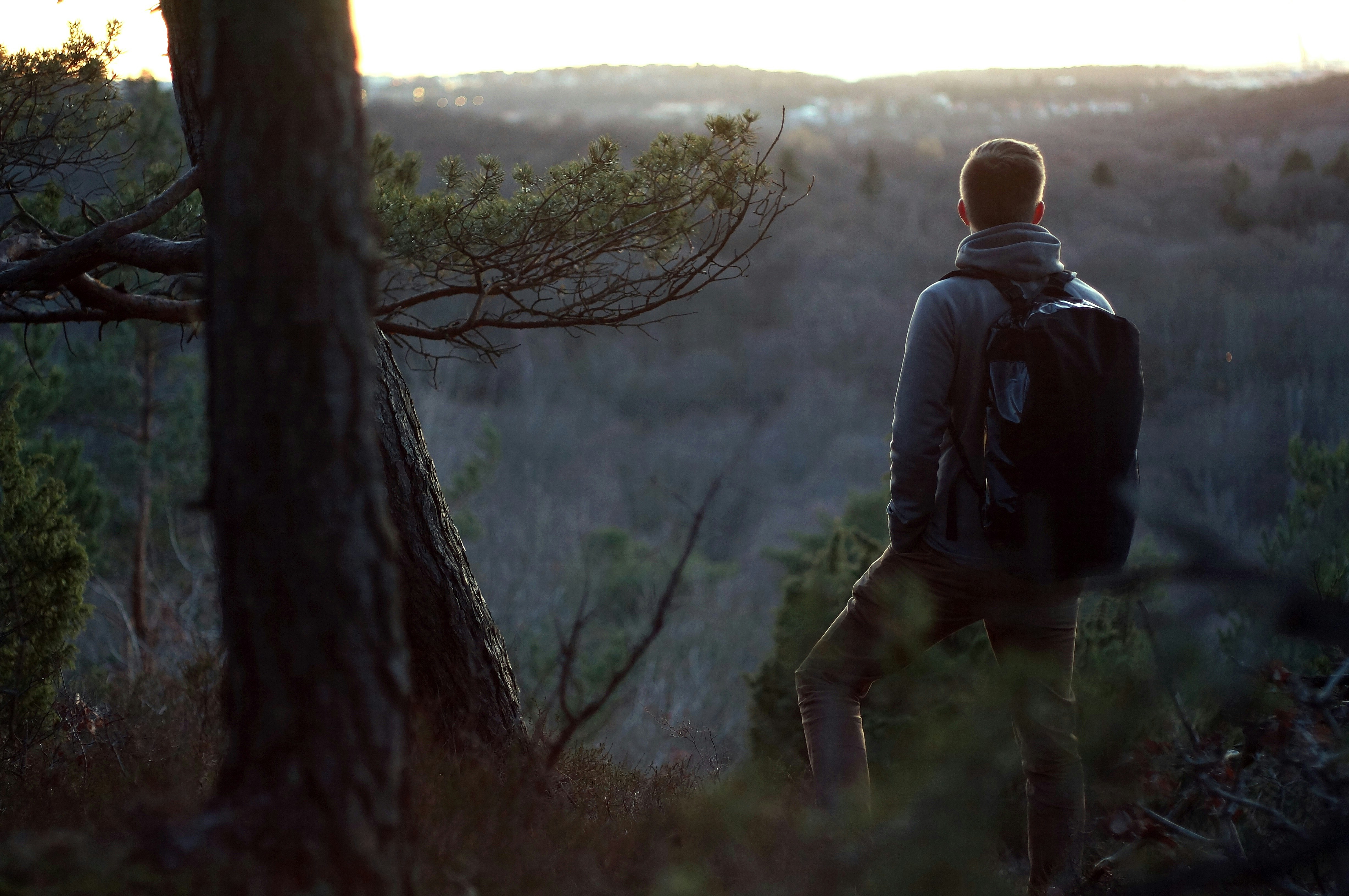 Free Unsplash photo from Oscar Nilsson