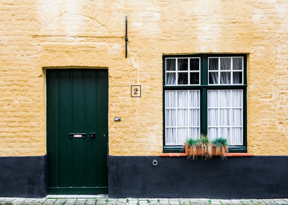 green plant near door