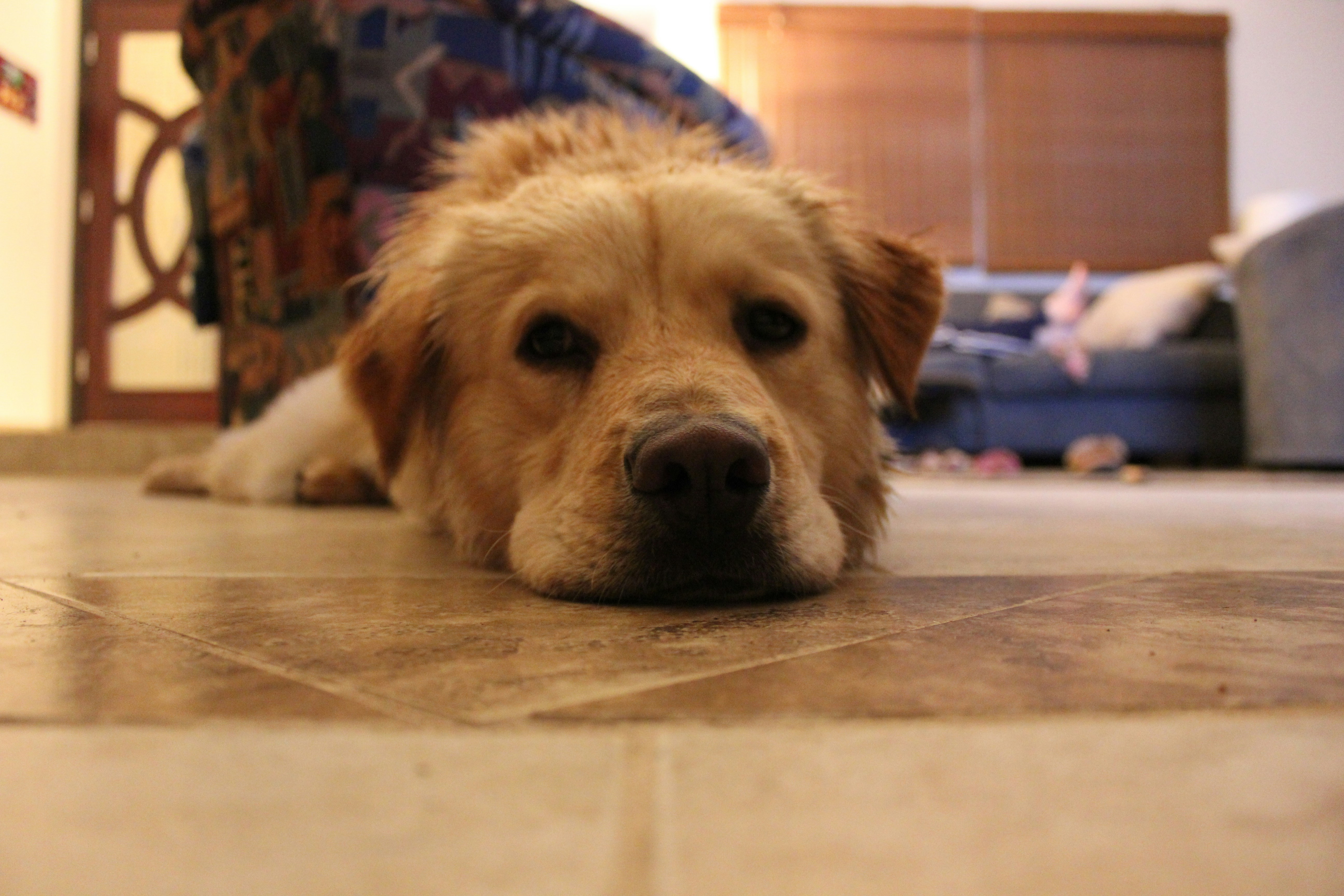 Free Unsplash photo from Nahtan Jackson