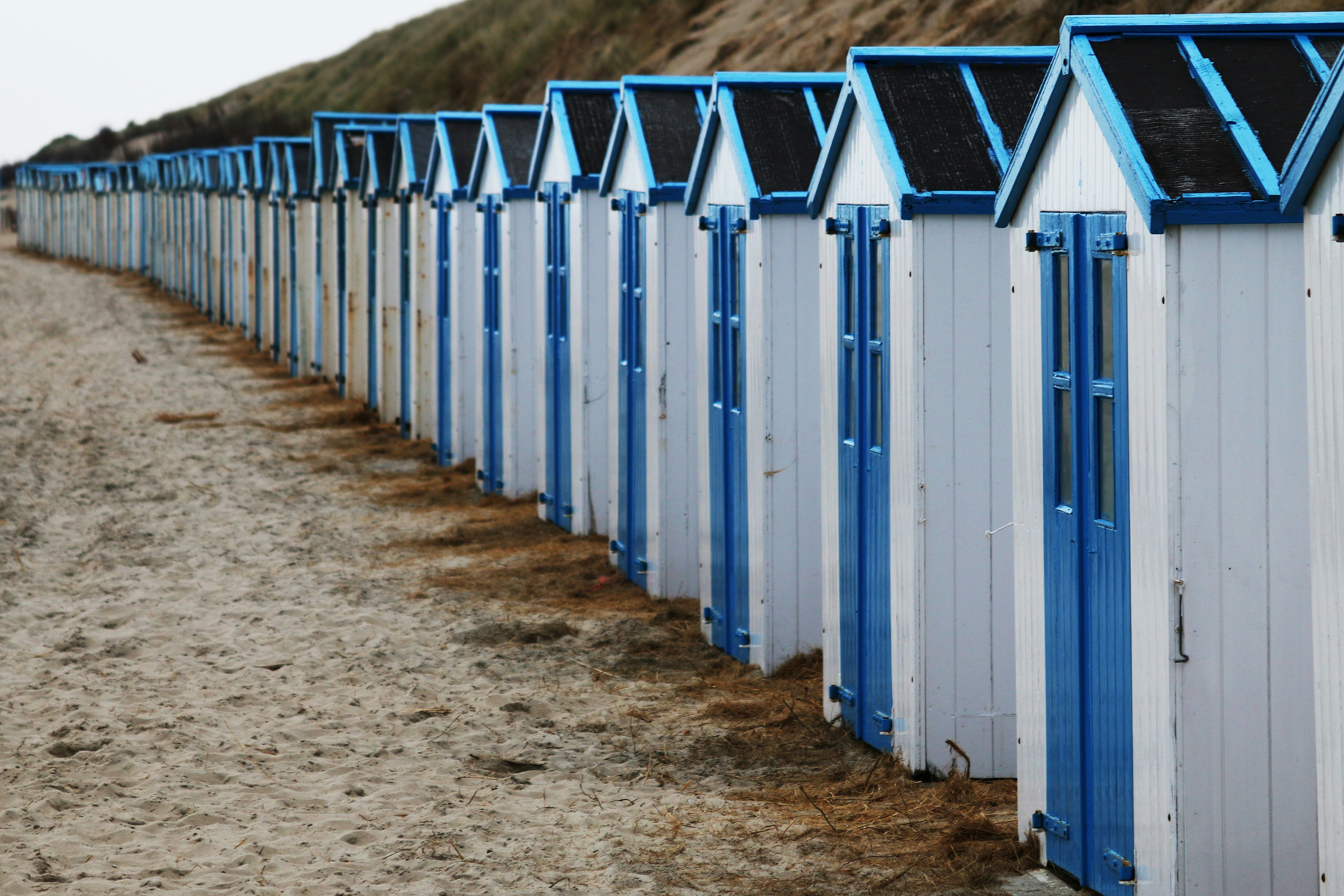 Free Unsplash photo from Bram van Oosterhout