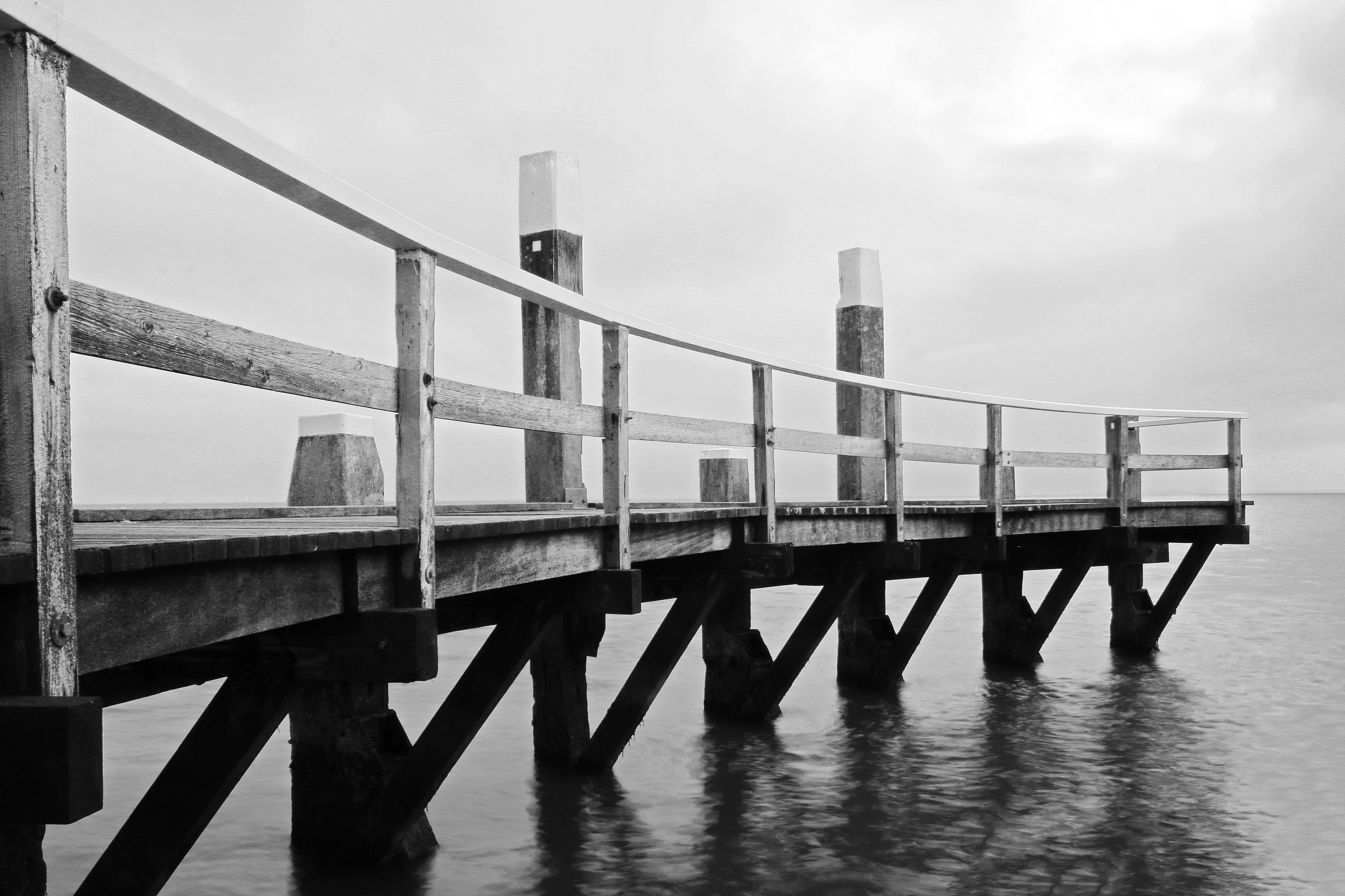 Free Unsplash photo from Bram van Oosterhout