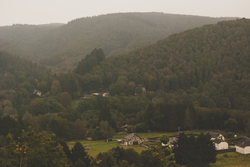 bird eyeview or village