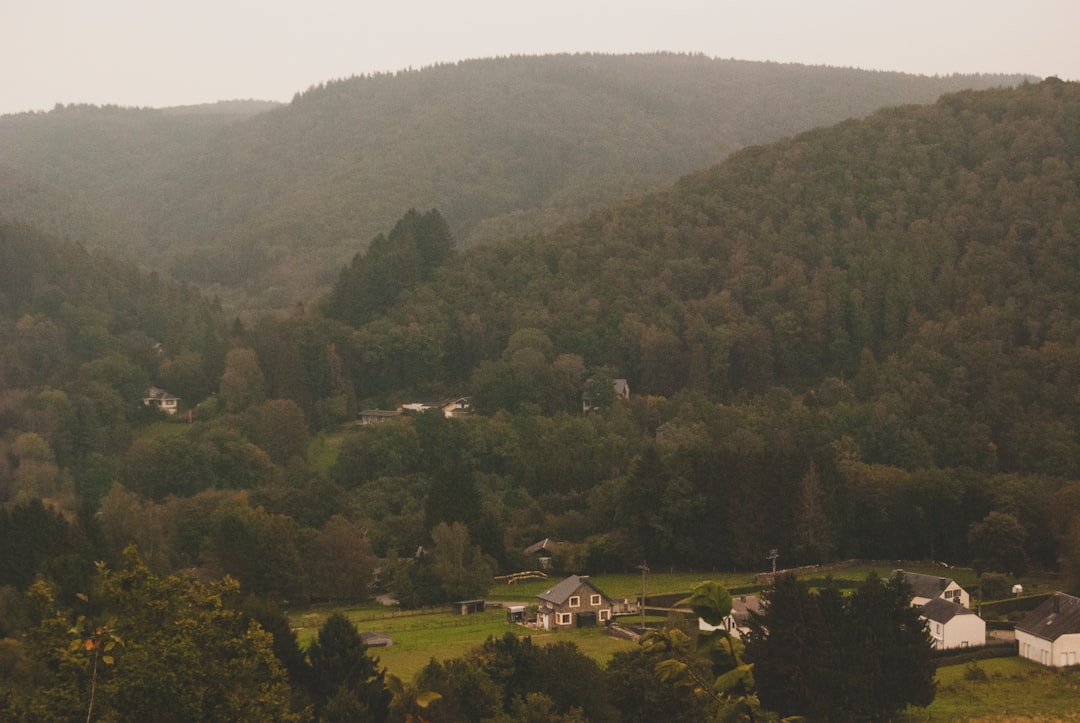 bird eyeview or village