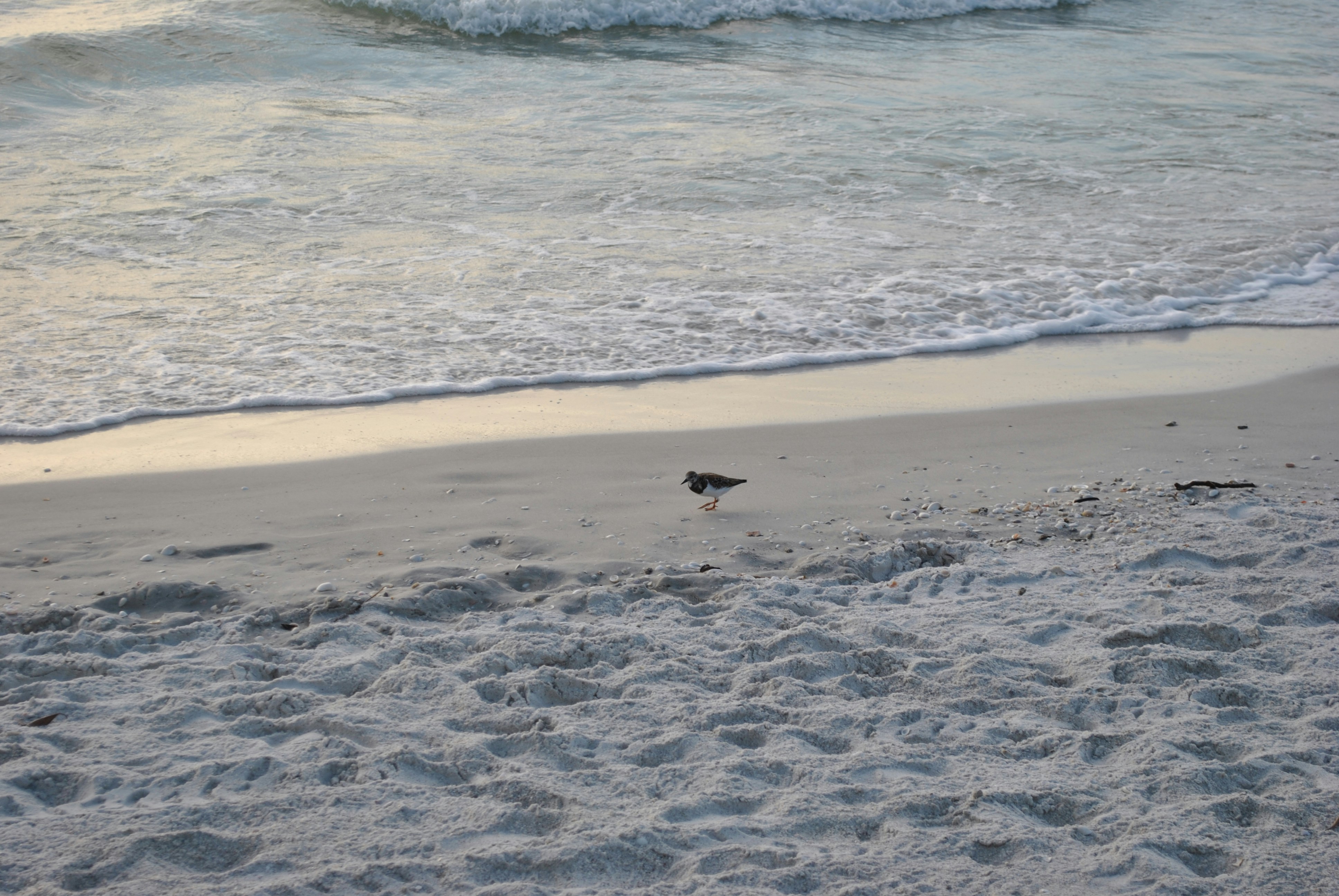 Free Unsplash photo from Chris Harker