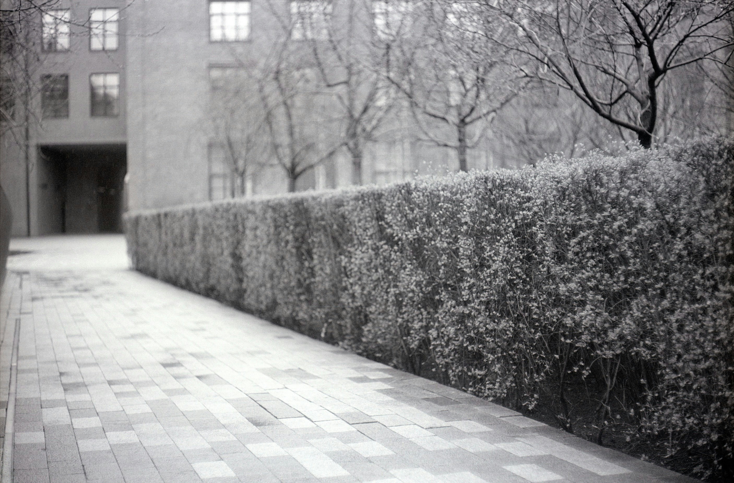 Free Unsplash photo from Pavel Voinov