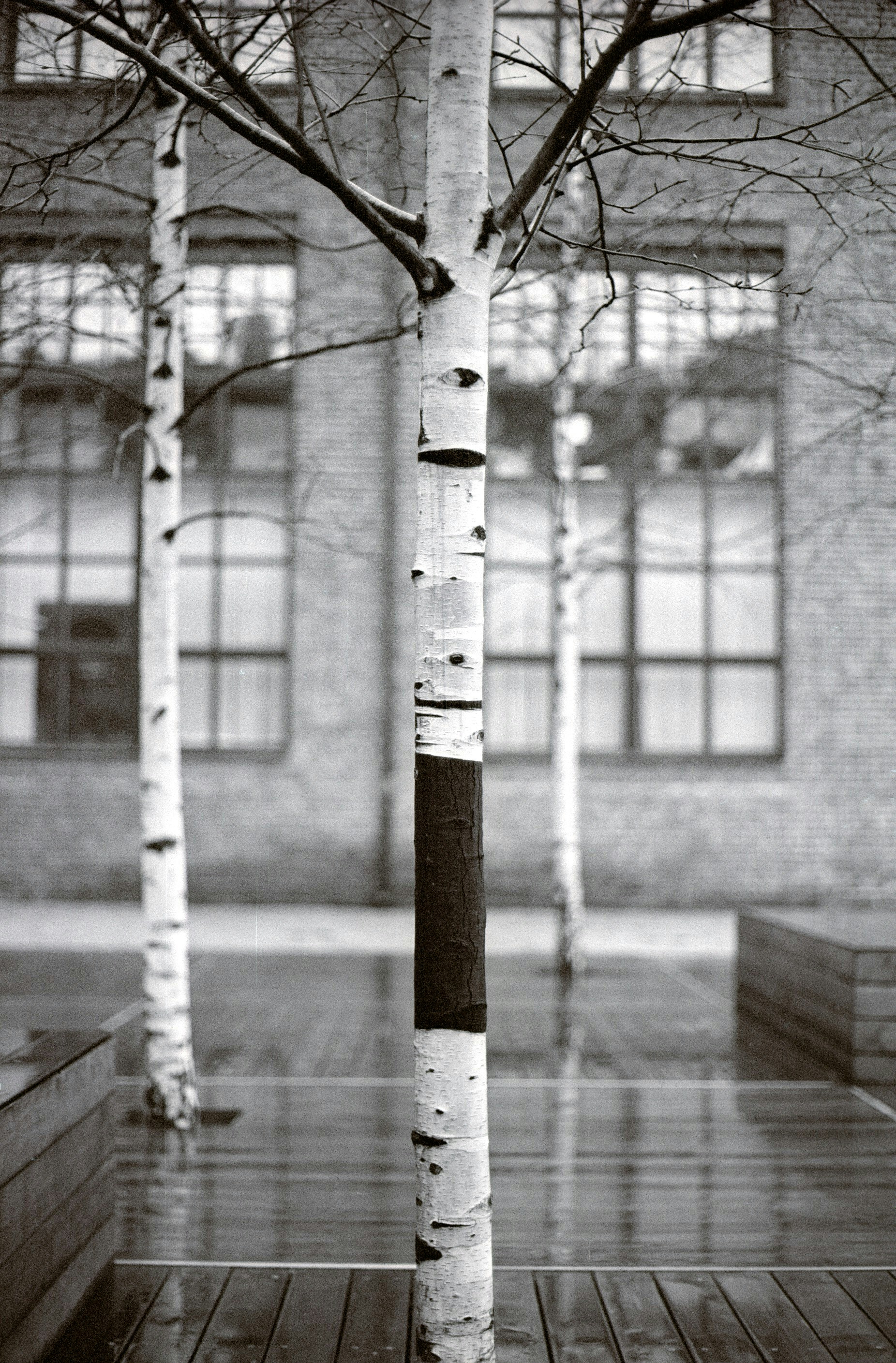 Free Unsplash photo from Pavel Voinov