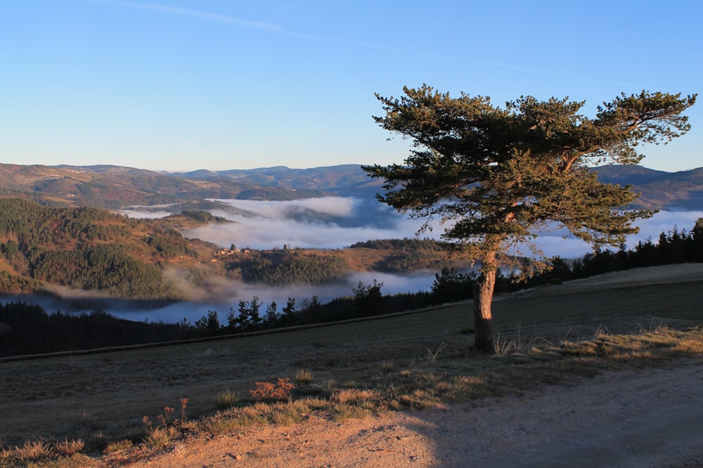 collines entourées de brouillards