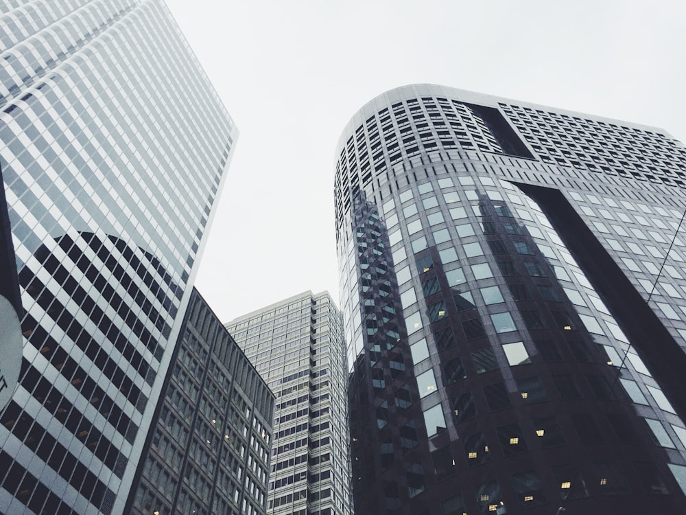 low-angle photography of glass window buildings