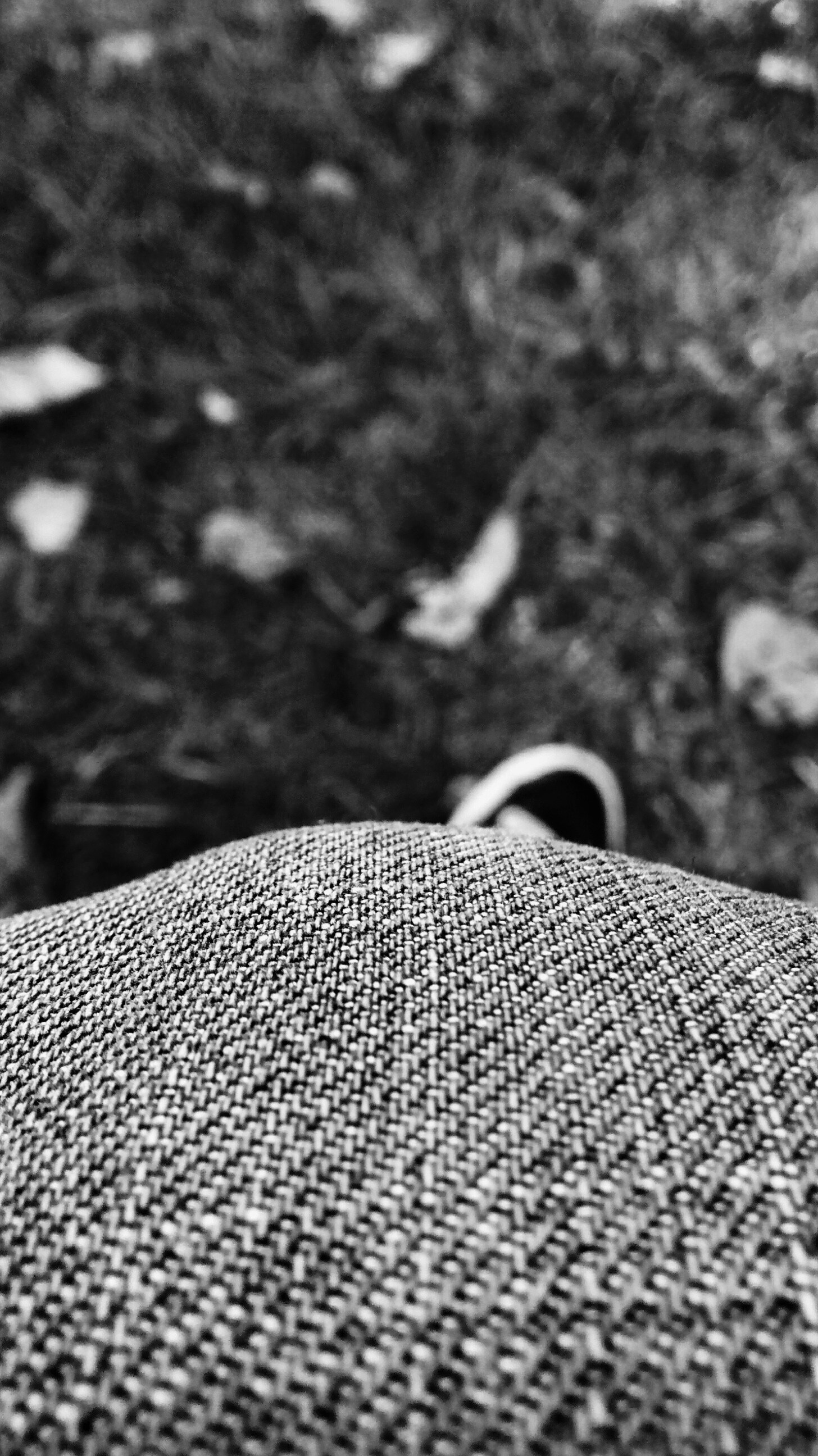 Free Unsplash photo from Leonel Vieyra