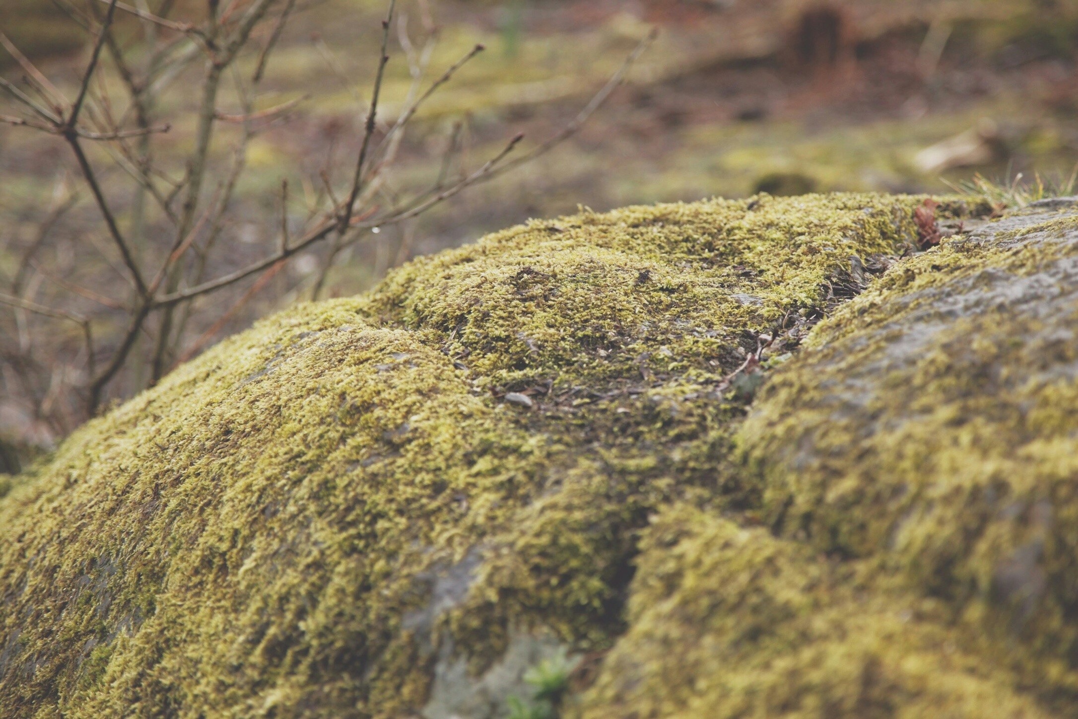 Photo By Paper Beard