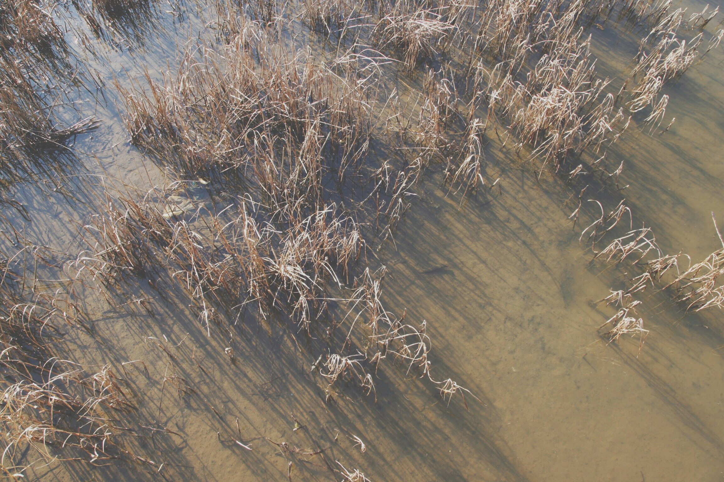 Photo By Paper Beard