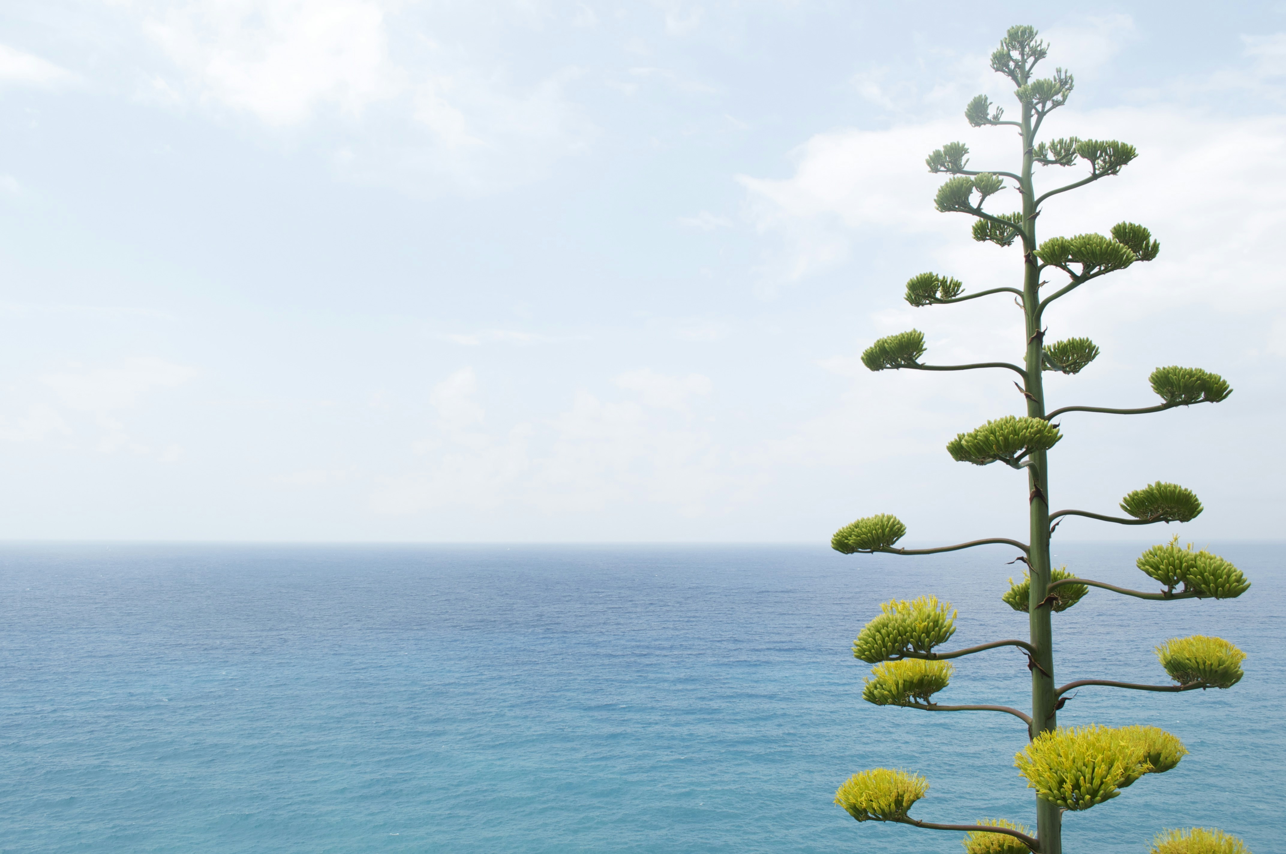 photo-1428374617290-9601c7dd7222?ixid=M3wxMjA3fDB8MXxzZWFyY2h8MTh8fGMlQzMlQjNtbyUyMG1hbnRlbmVyJTIwZWwlMjBwZXNvJTIwZW4lMjB2YWNhY2lvbmVzJTIwY29uJTIwaGVyYmFsaWZlfGVufDB8fHx8MTc2MTA2OTQ4NHww\u0026ixlib=rb-4.1.0